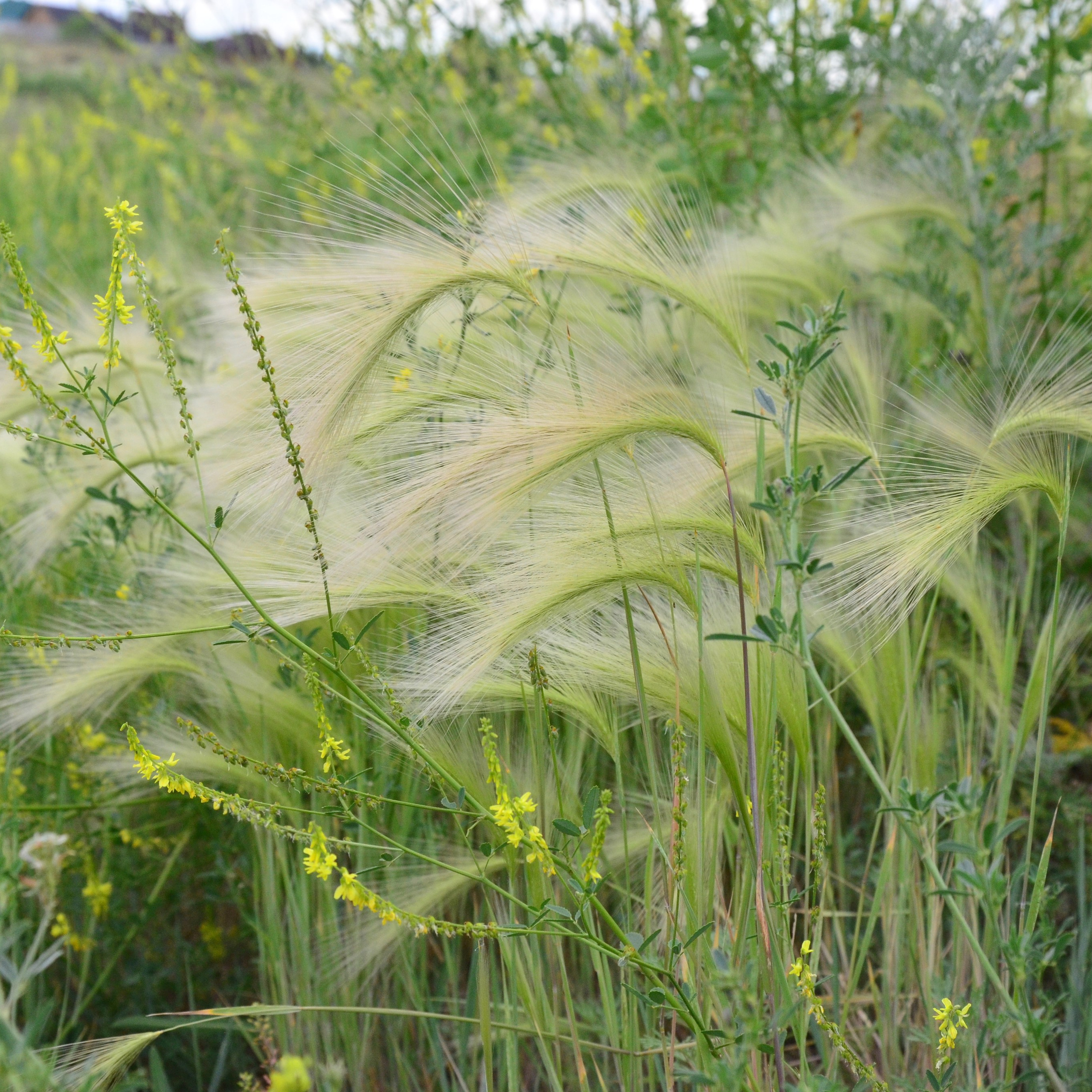 Фотограф viktor viktor