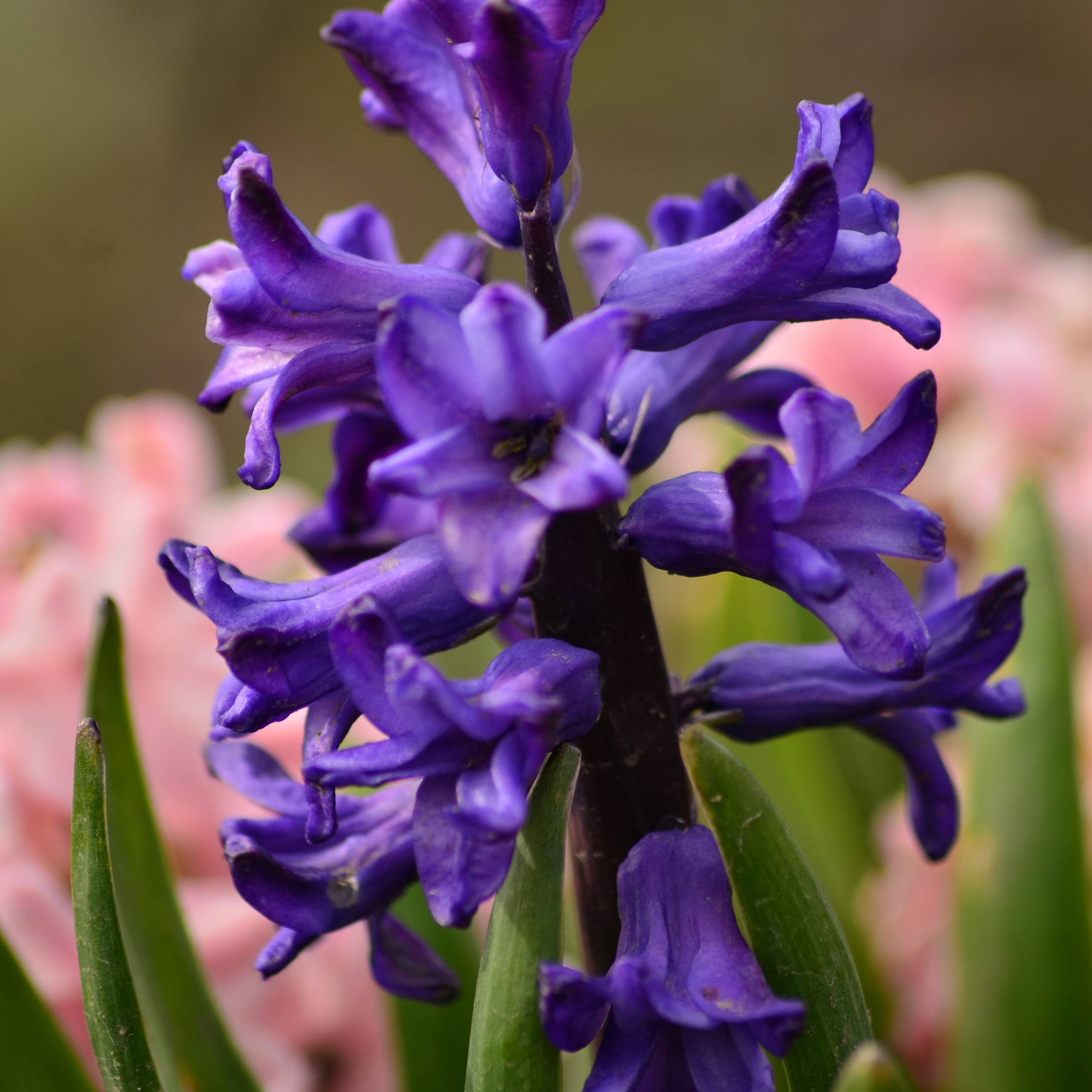 Фотограф viktor viktor