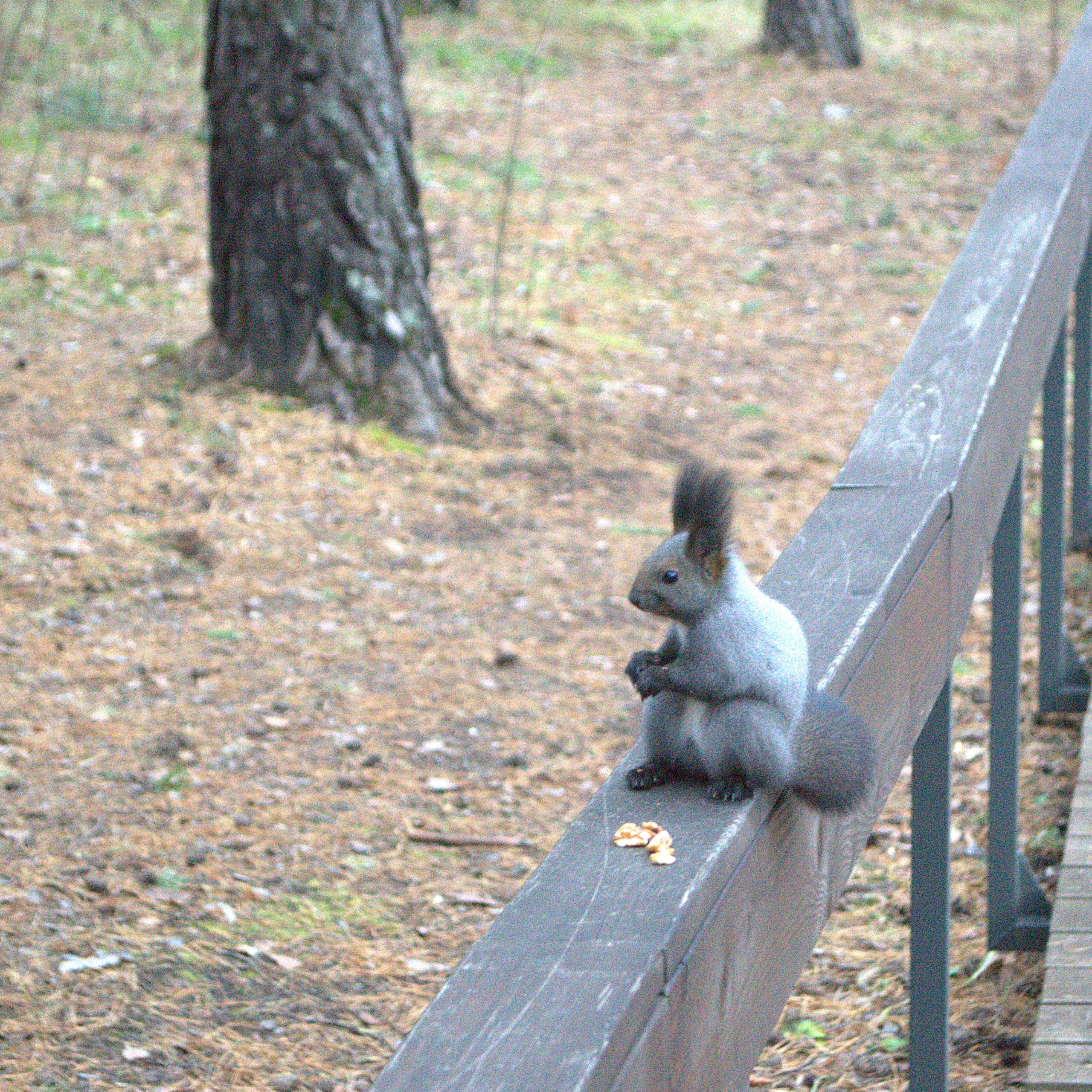 Фотограф viktor viktor