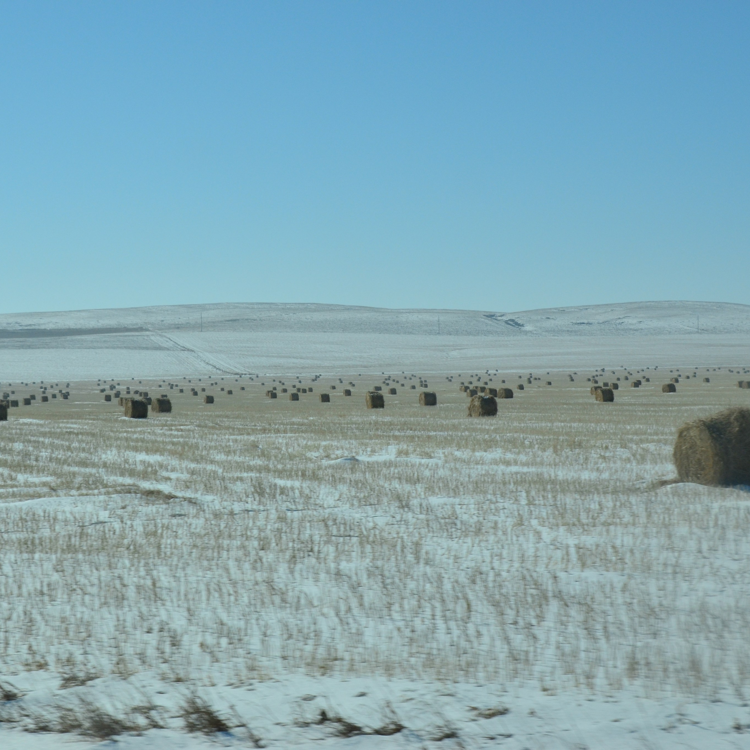 Фотограф viktor viktor