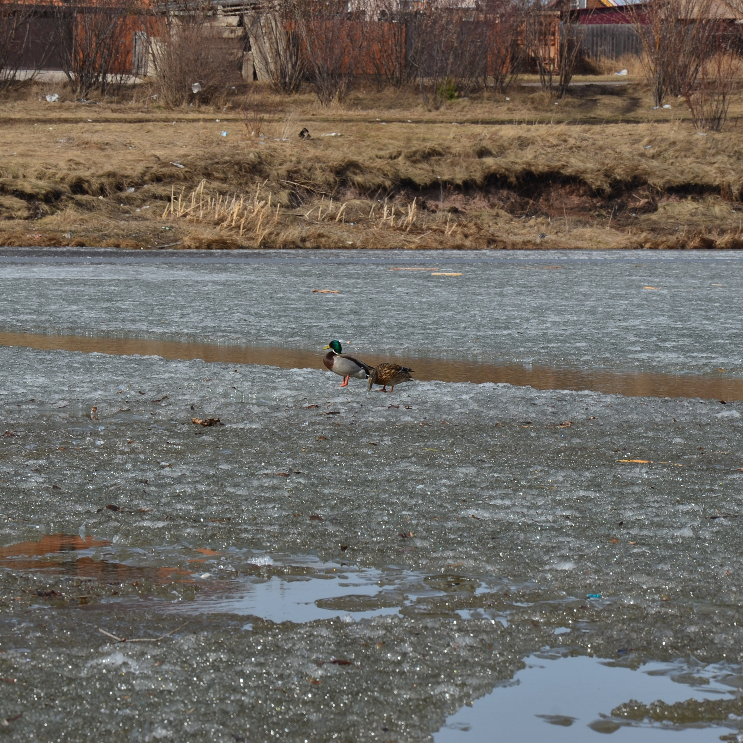 Фотограф viktor viktor