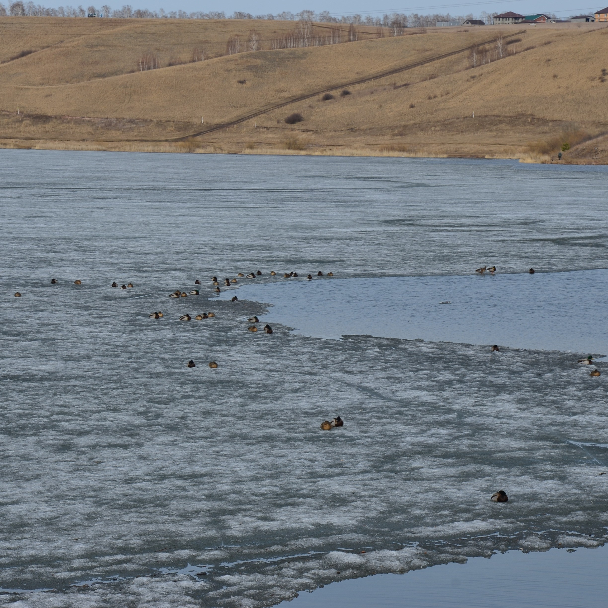 Фотограф viktor viktor