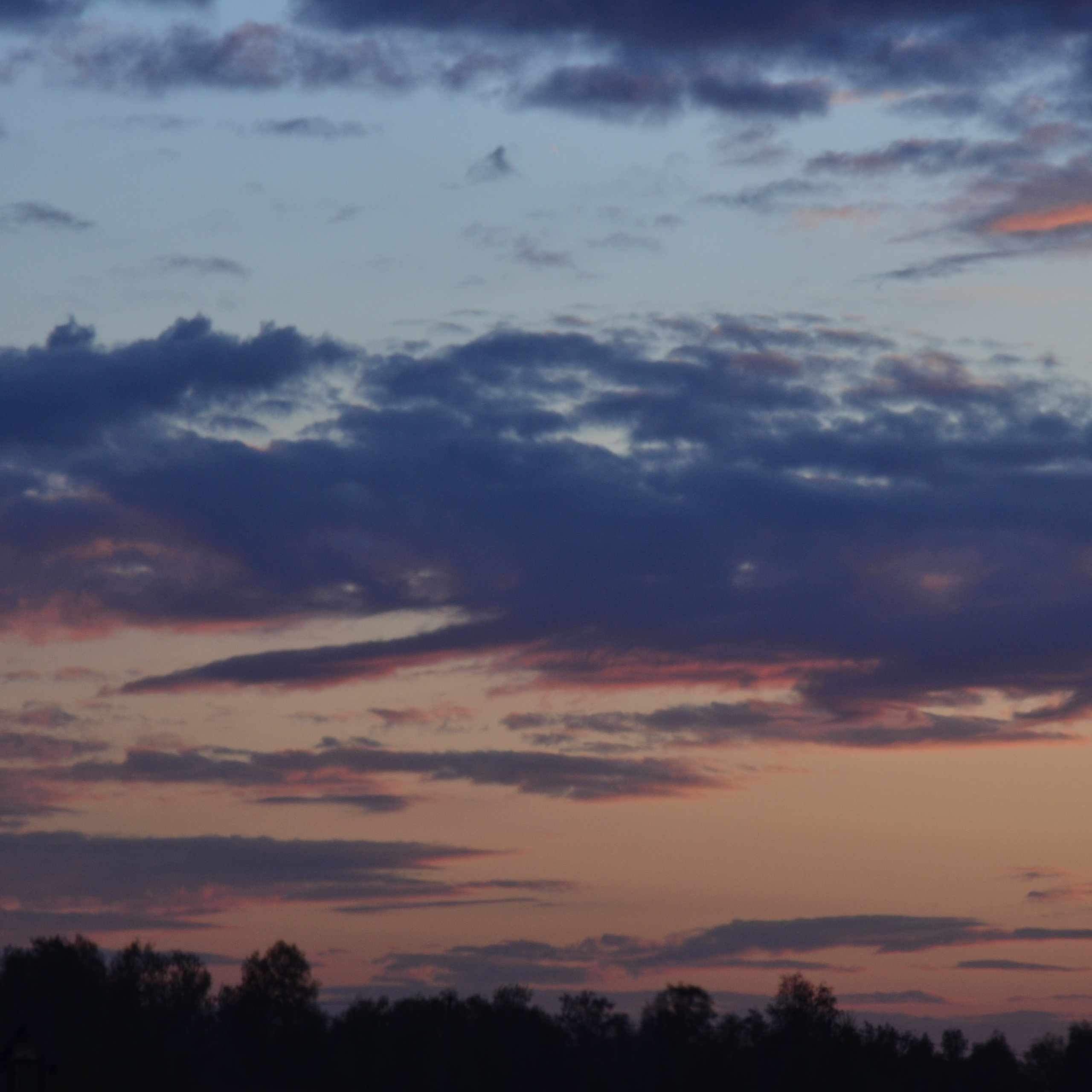 Фотограф viktor viktor