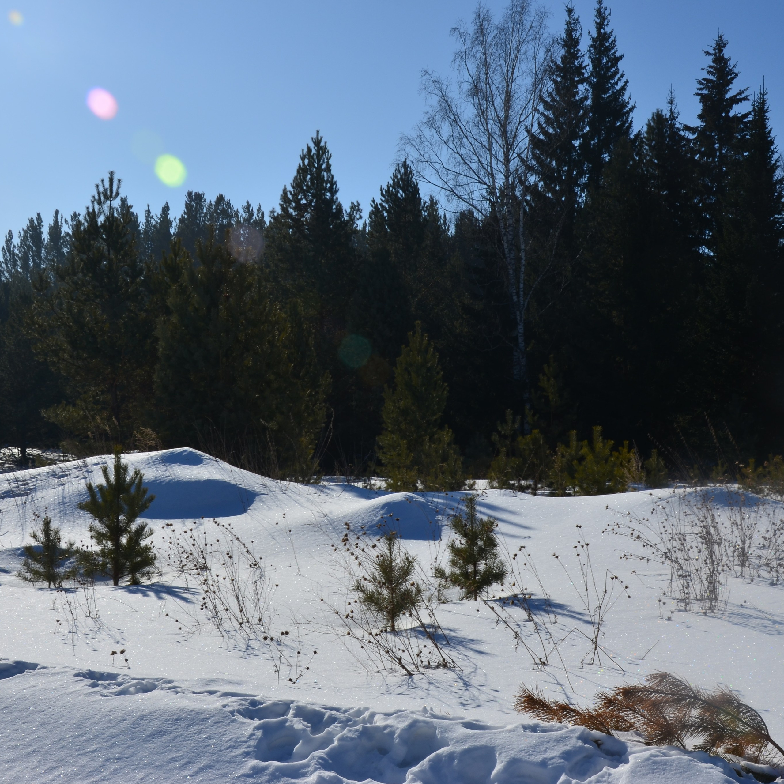 Фотограф viktor viktor