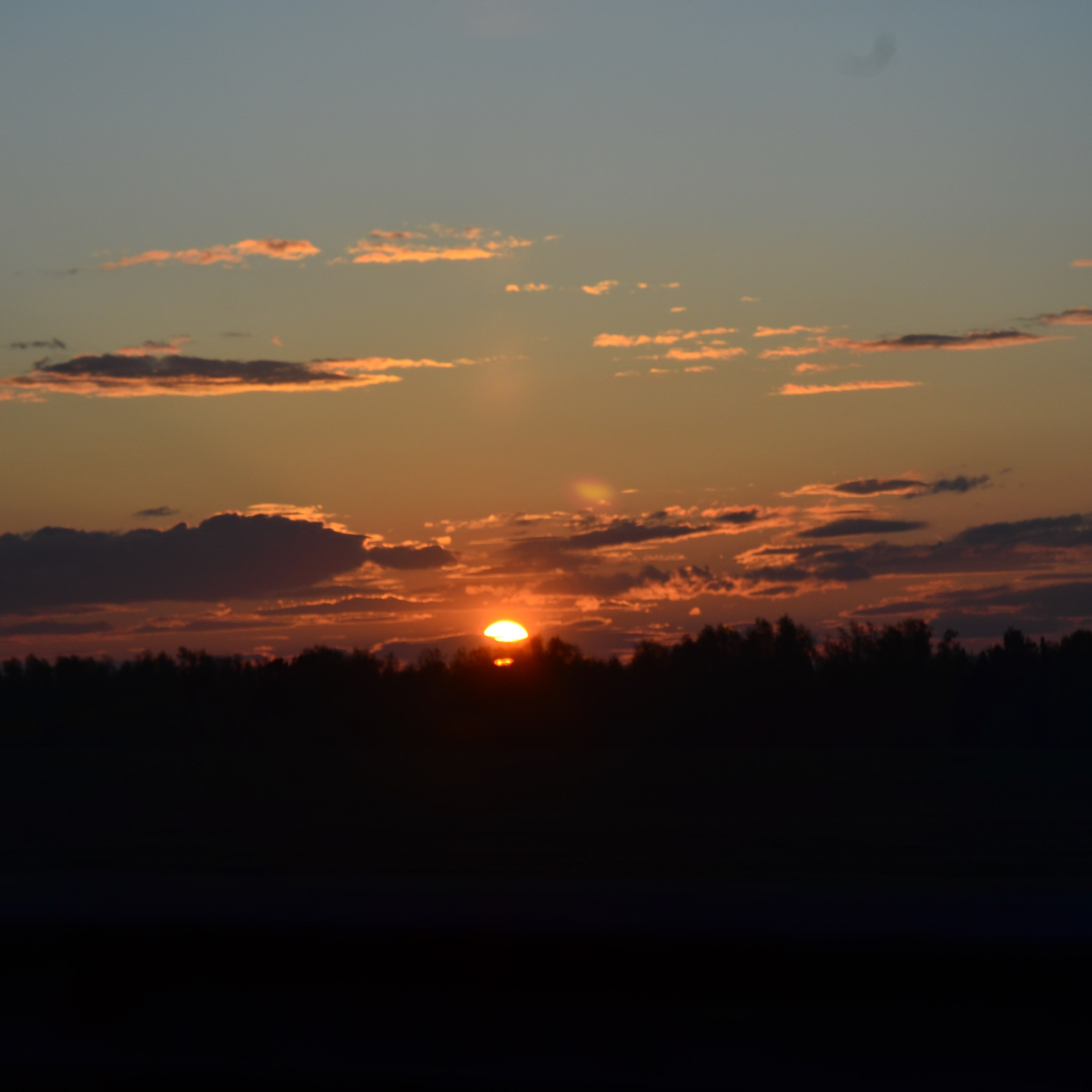 Фотограф viktor viktor