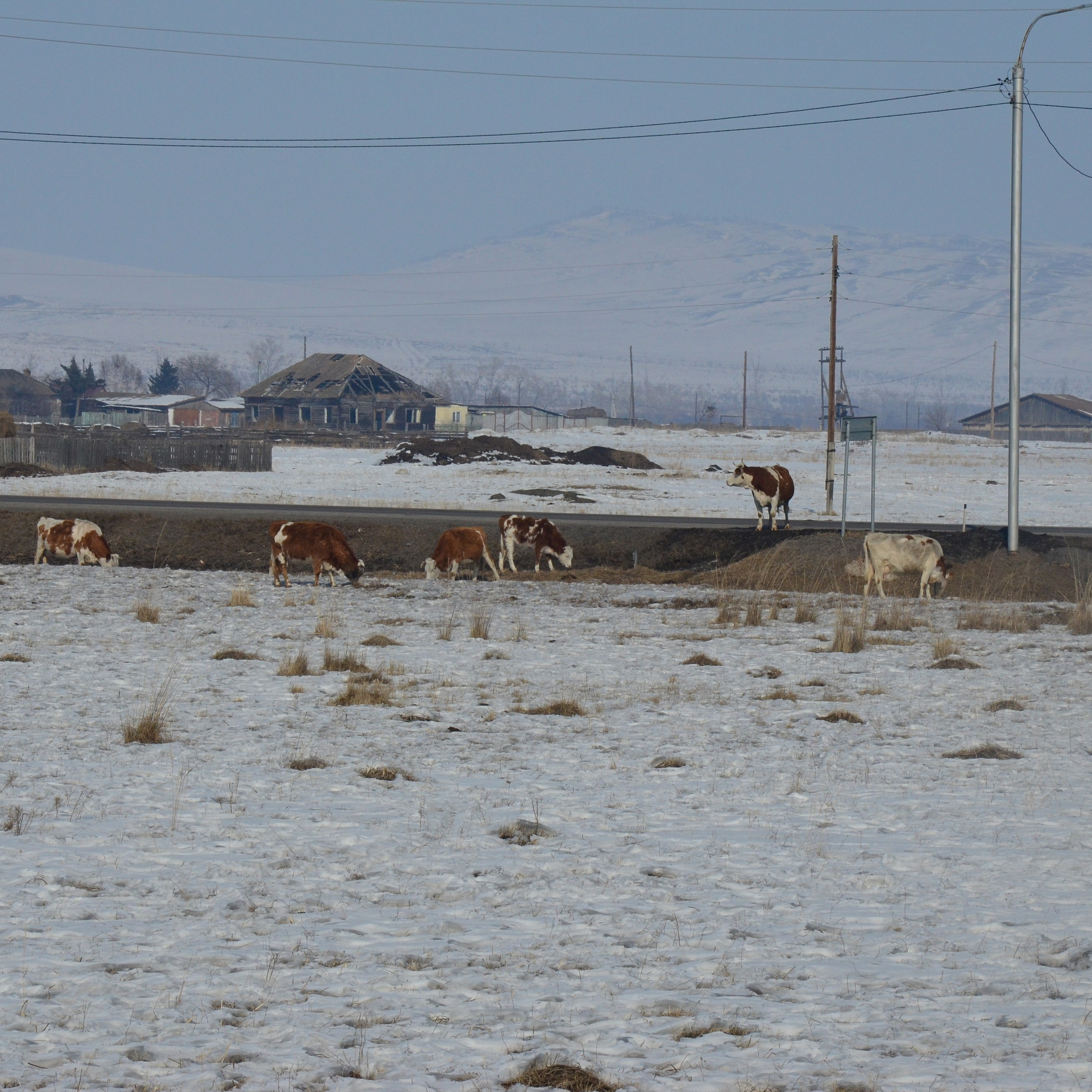 Фотограф viktor viktor
