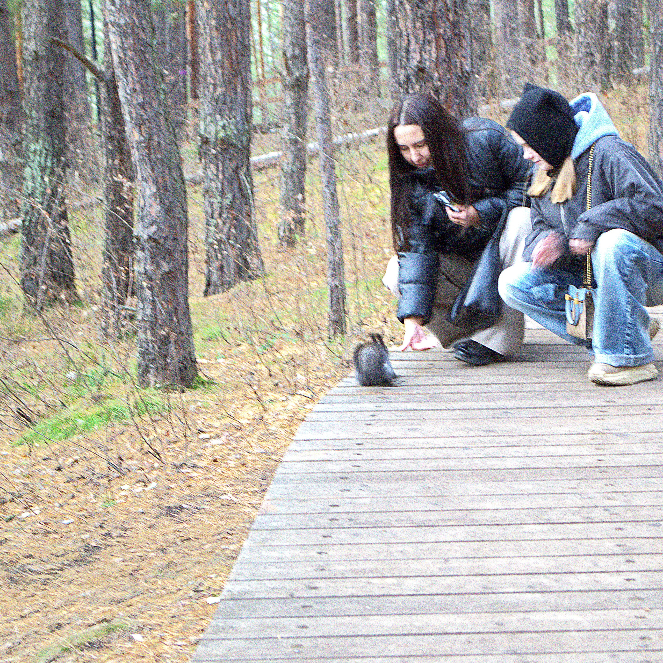 Фотограф viktor viktor