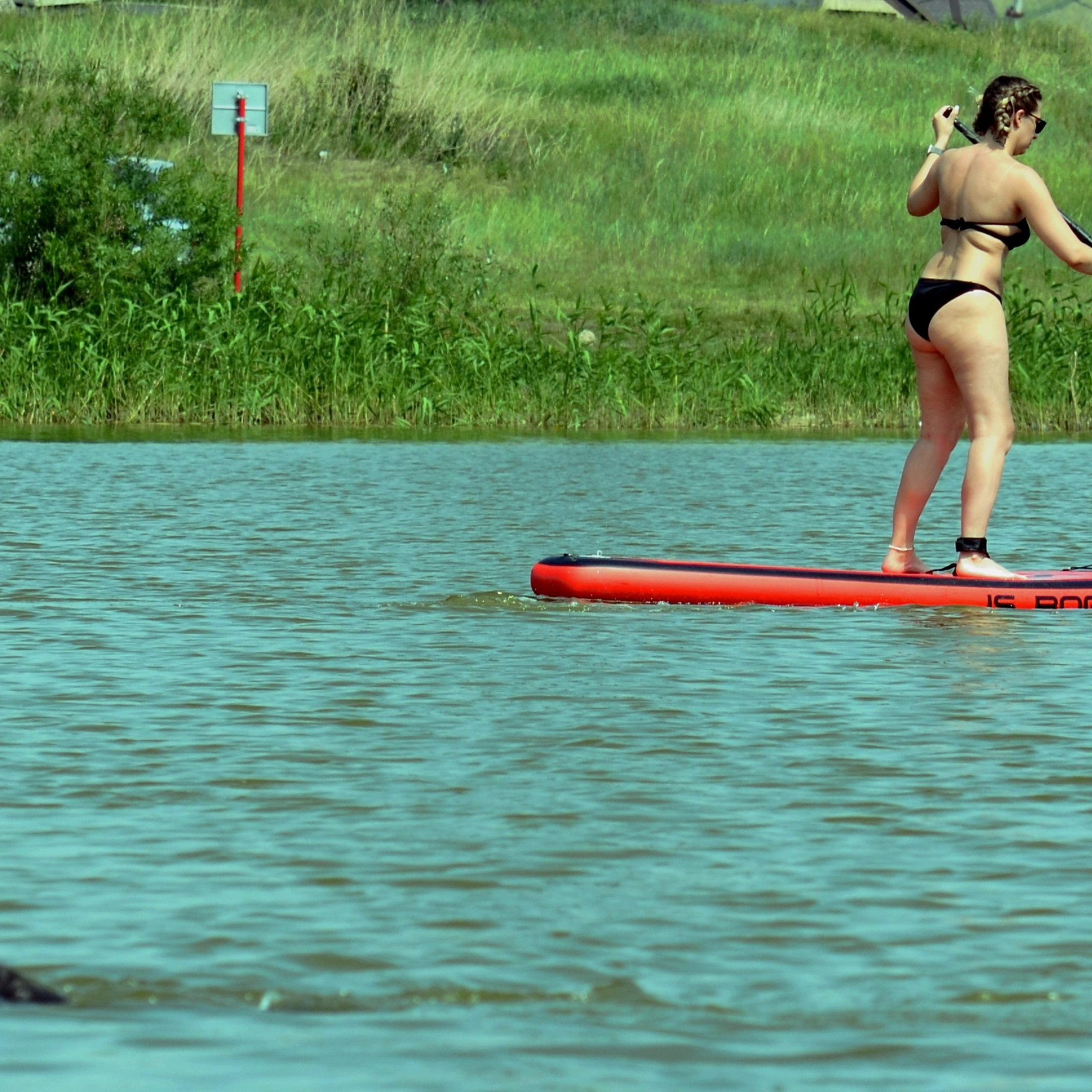 Фотограф viktor viktor