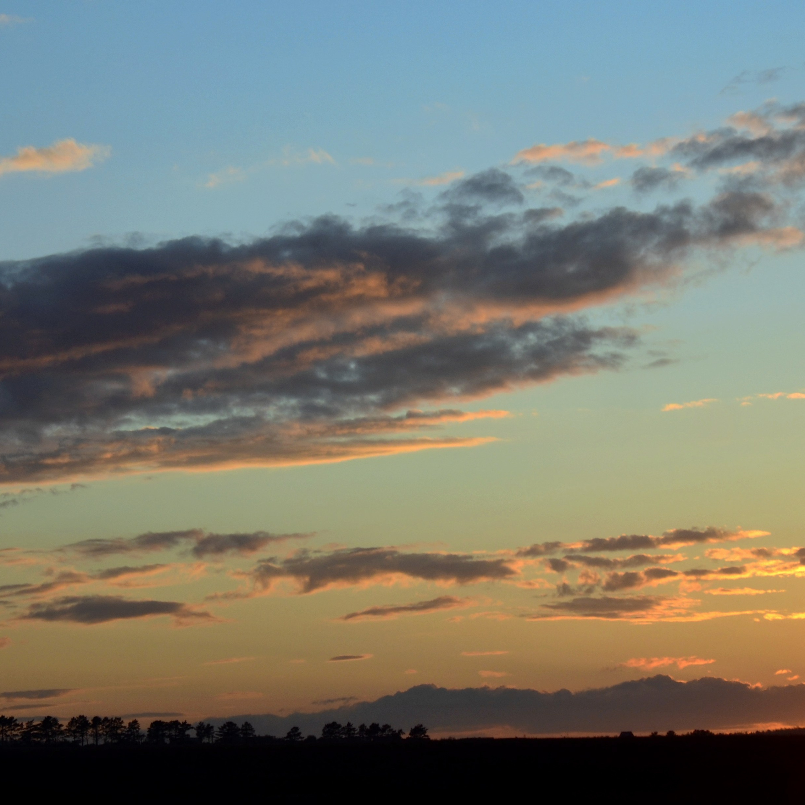 Фотограф viktor viktor