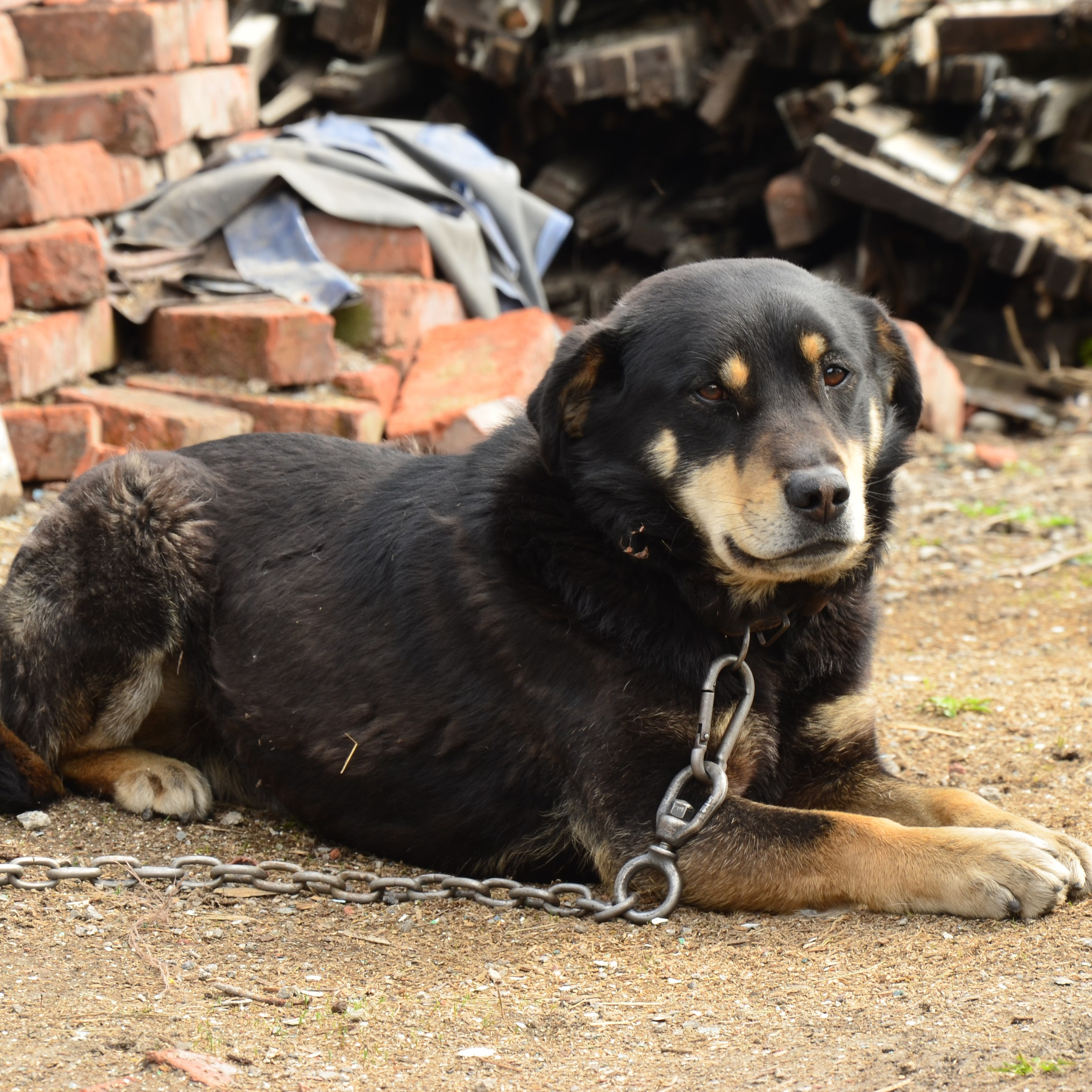 Фотограф viktor viktor