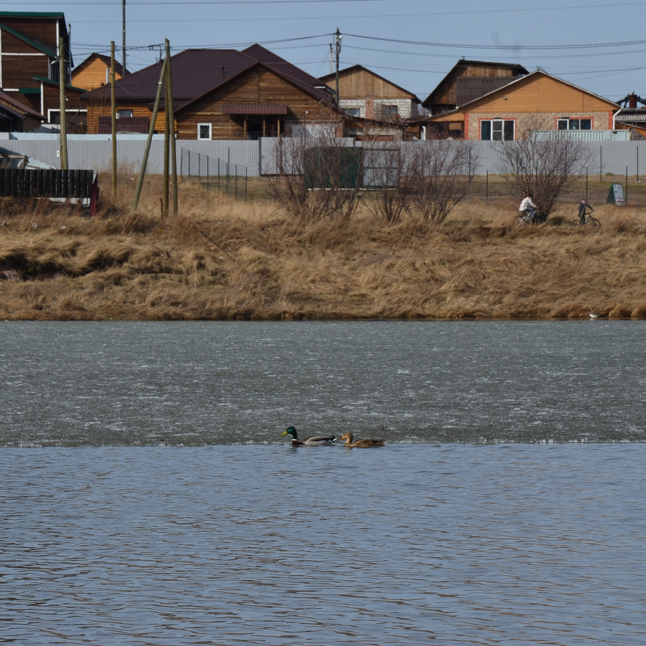 Фотограф viktor viktor