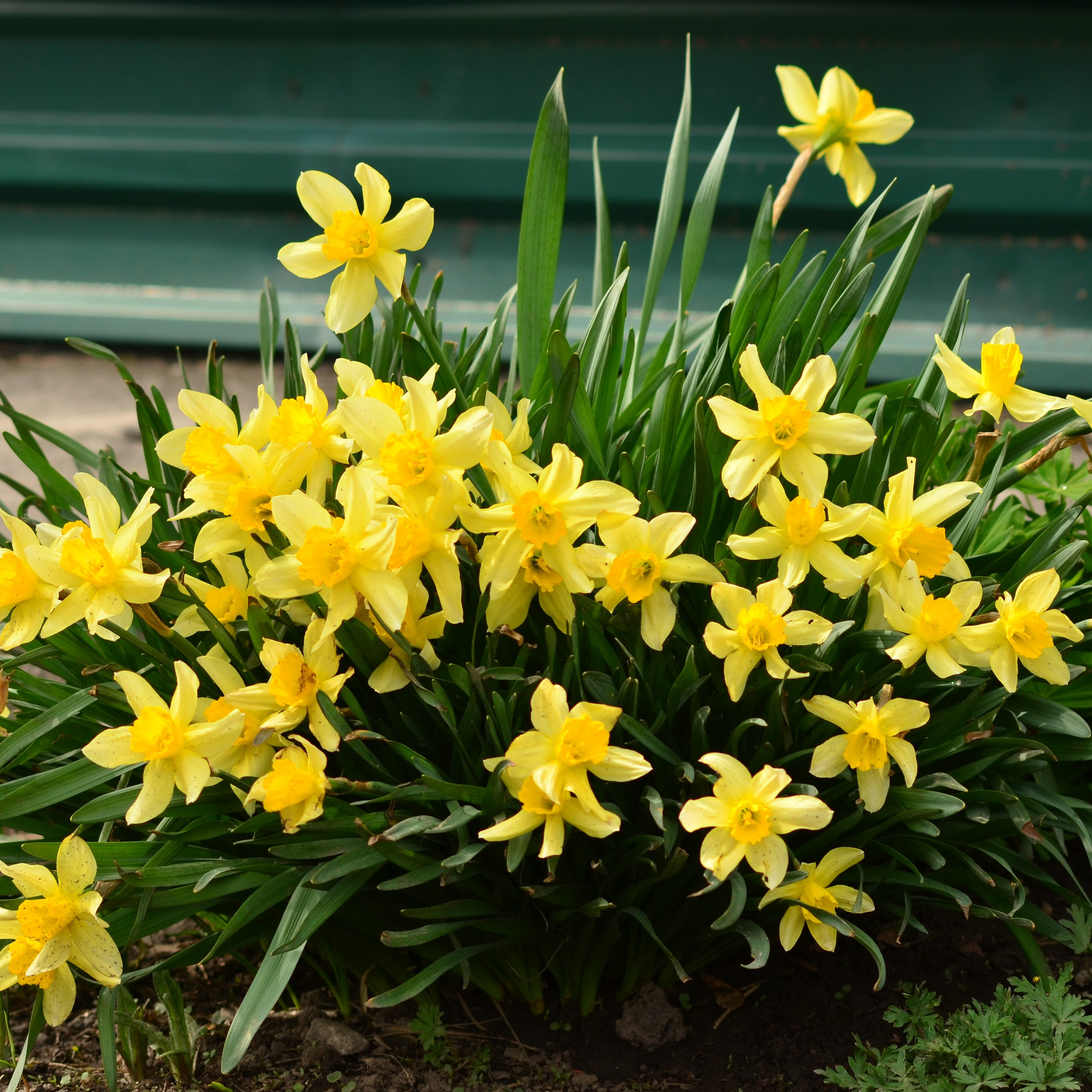 Фотограф viktor viktor