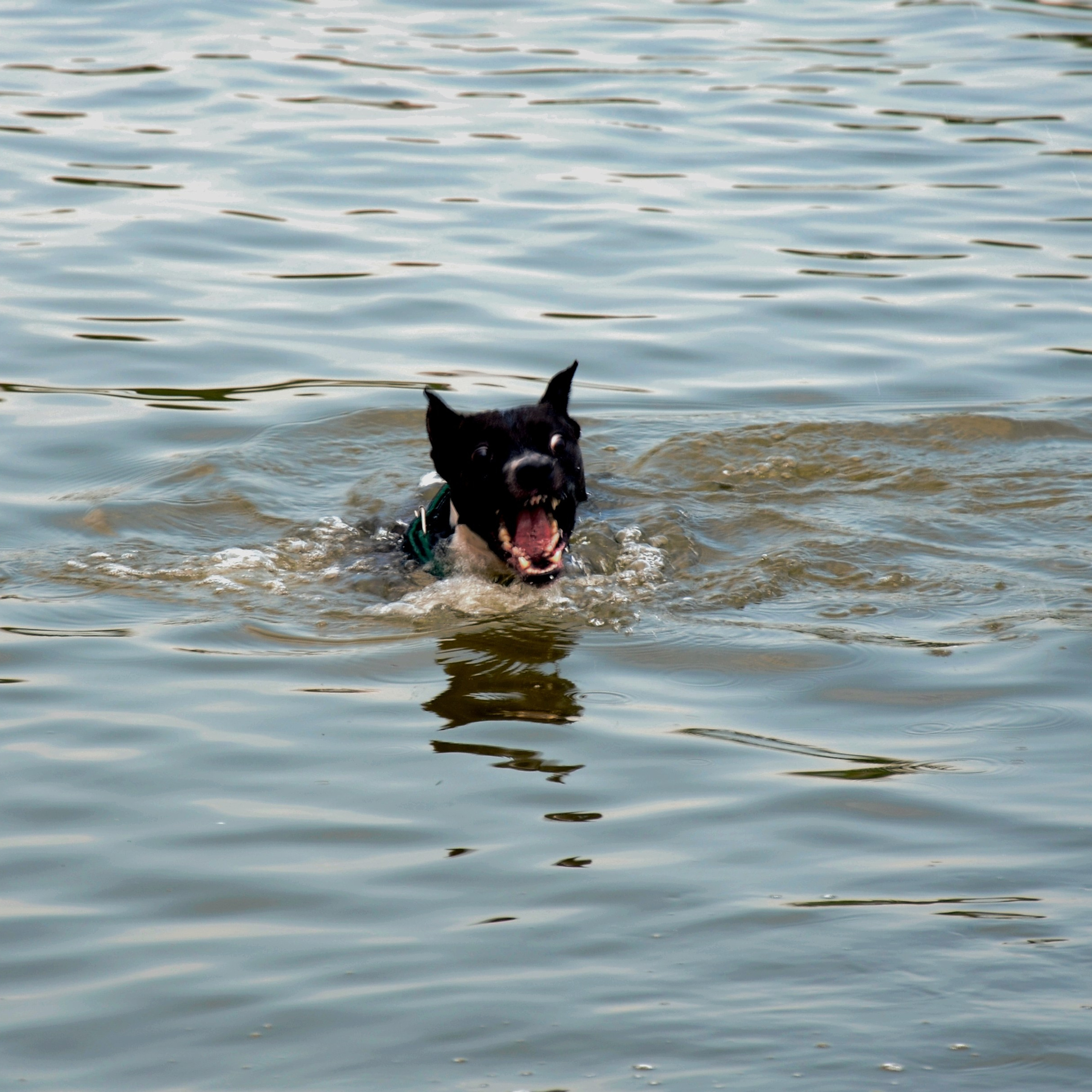 Фотограф viktor viktor