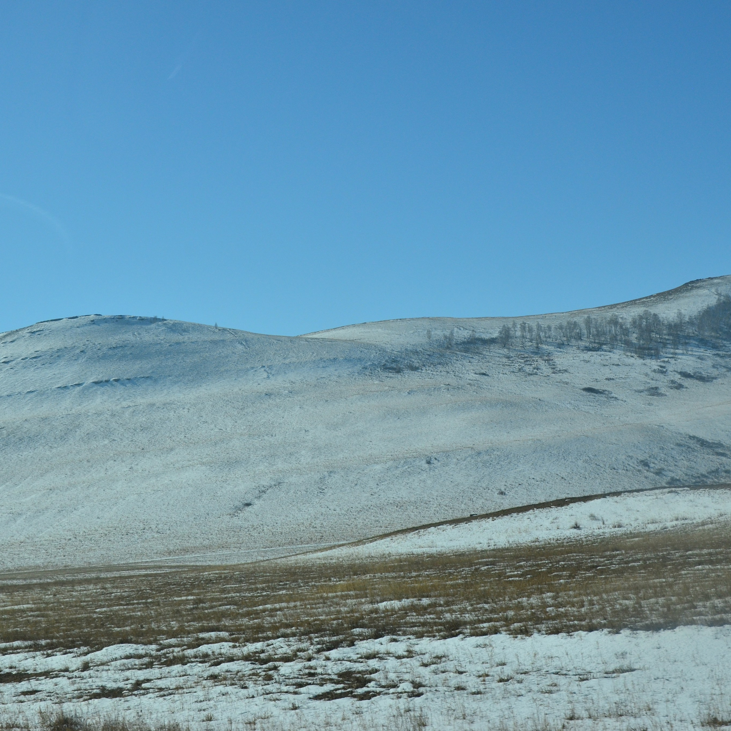 Фотограф viktor viktor