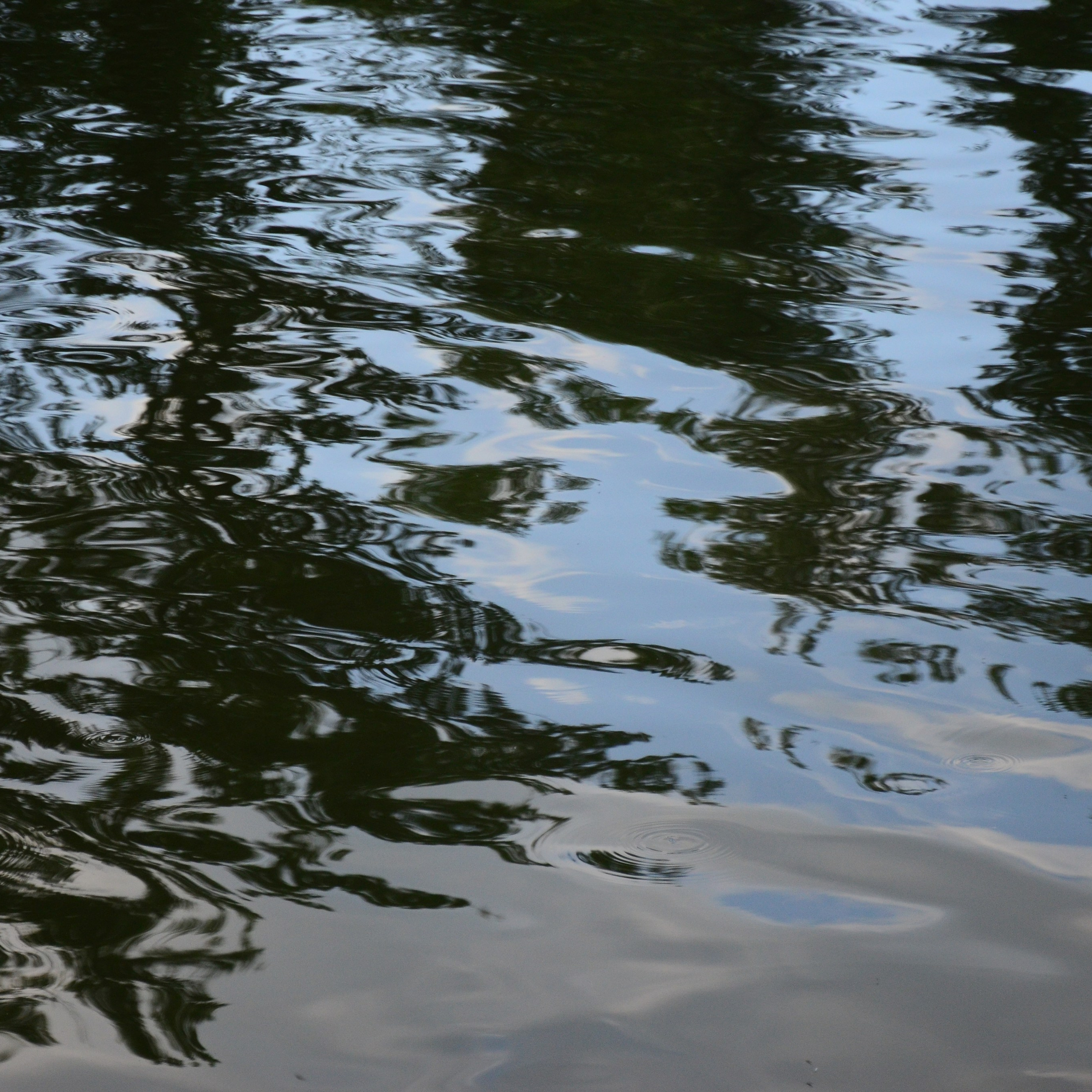 Фотограф viktor viktor