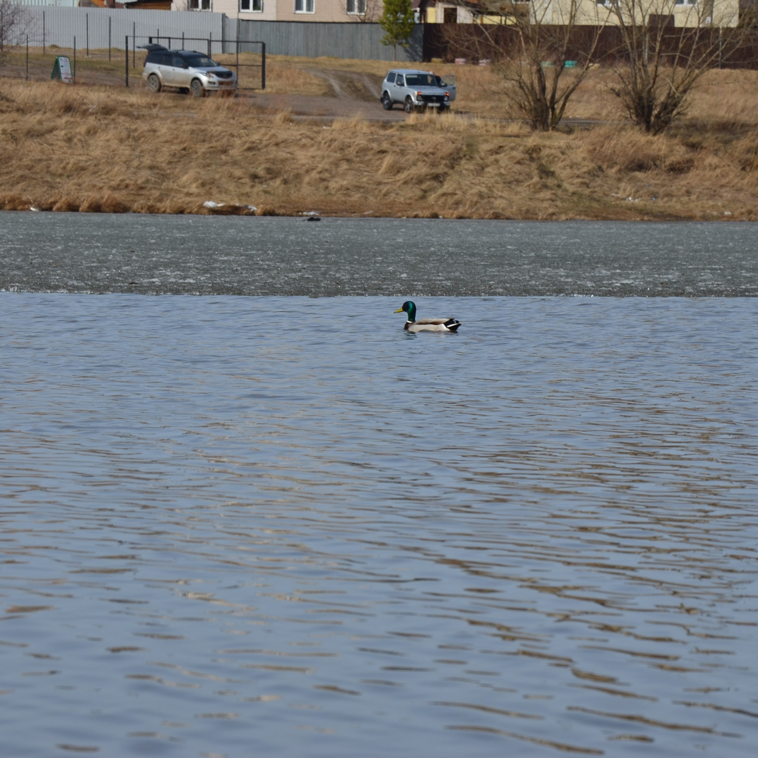 Фотограф viktor viktor