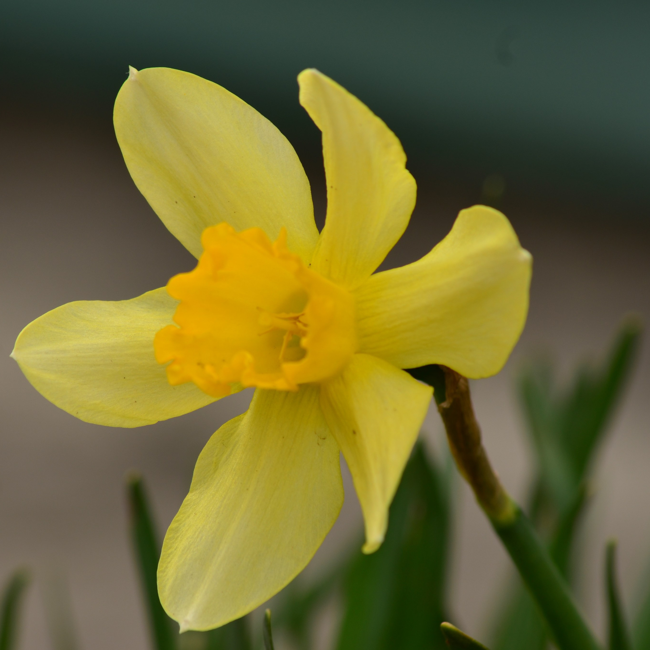 Фотограф viktor viktor