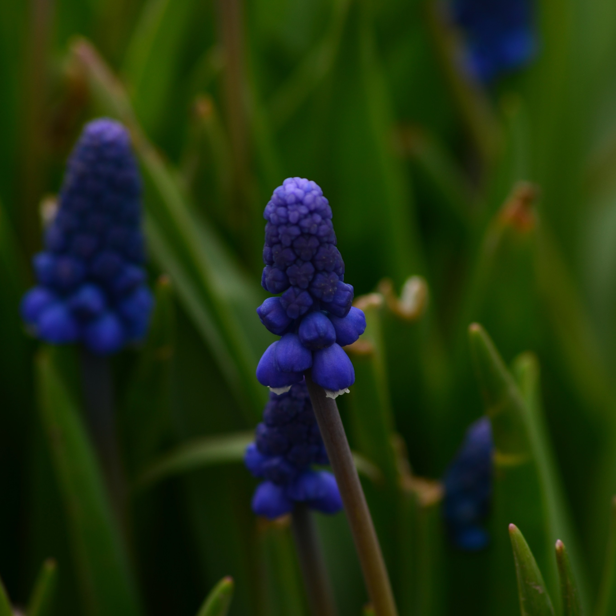 Фотограф viktor viktor