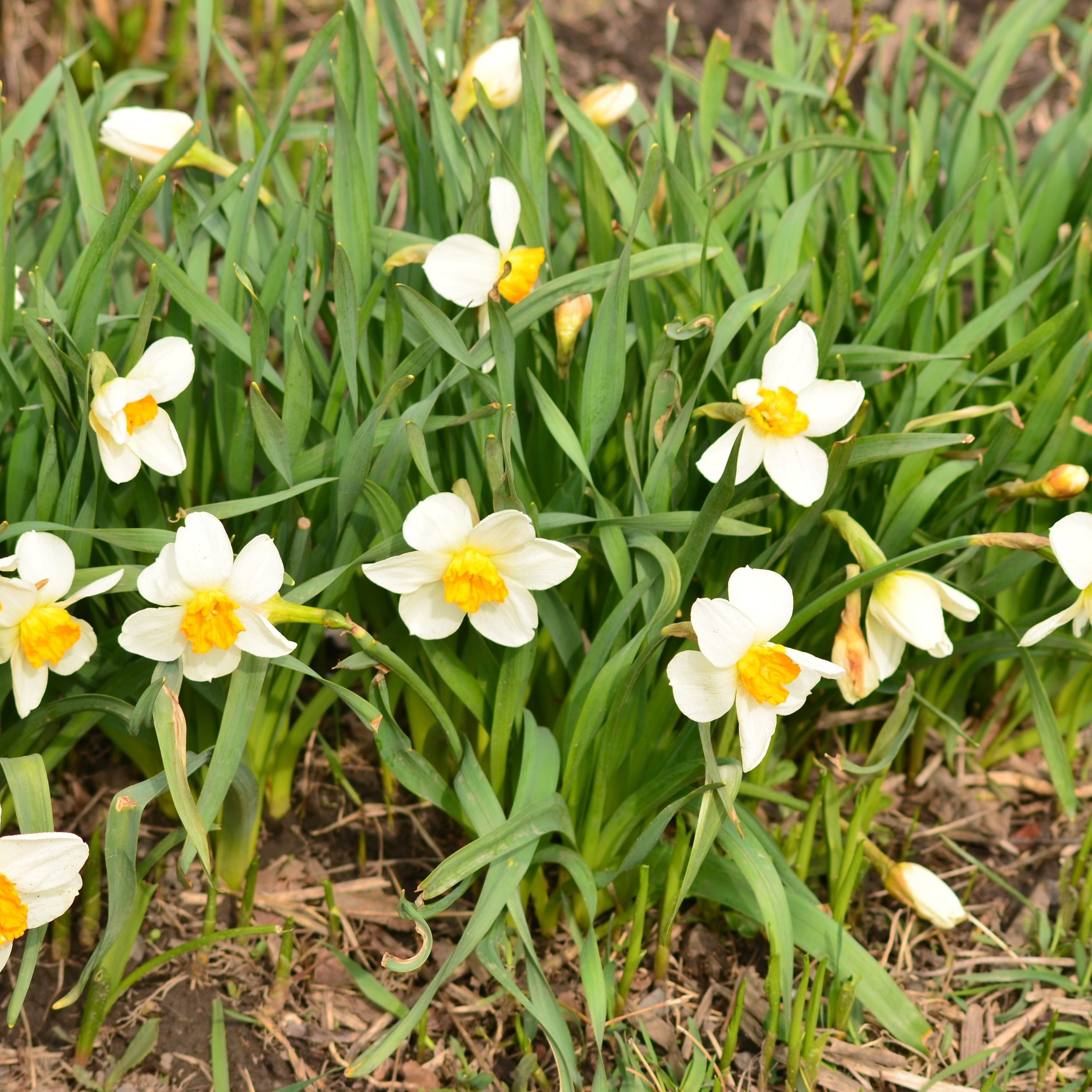 Фотограф viktor viktor