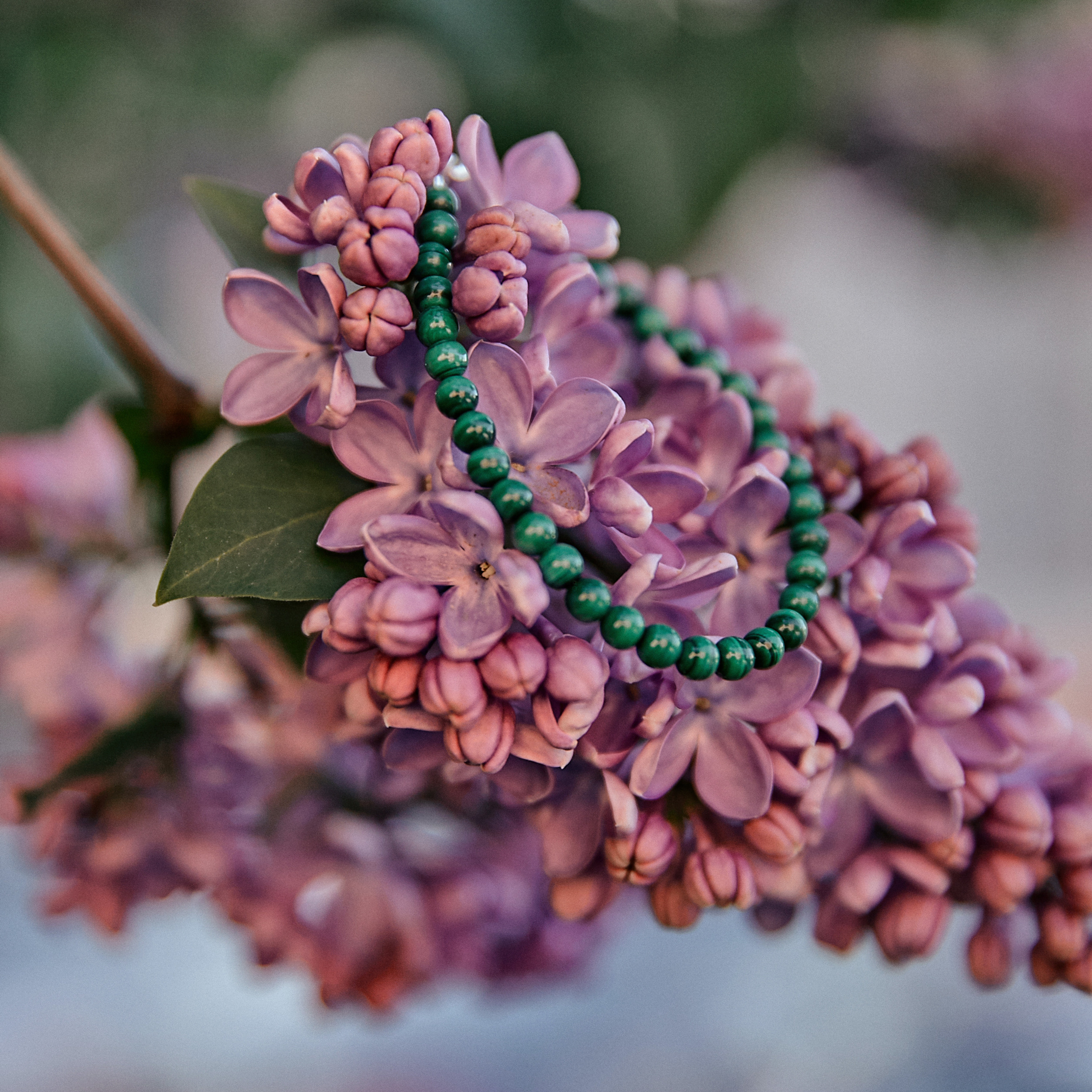 Браслеты Isongo. Рекламный фотограф Санкт-Петербург Катерина Мишкель