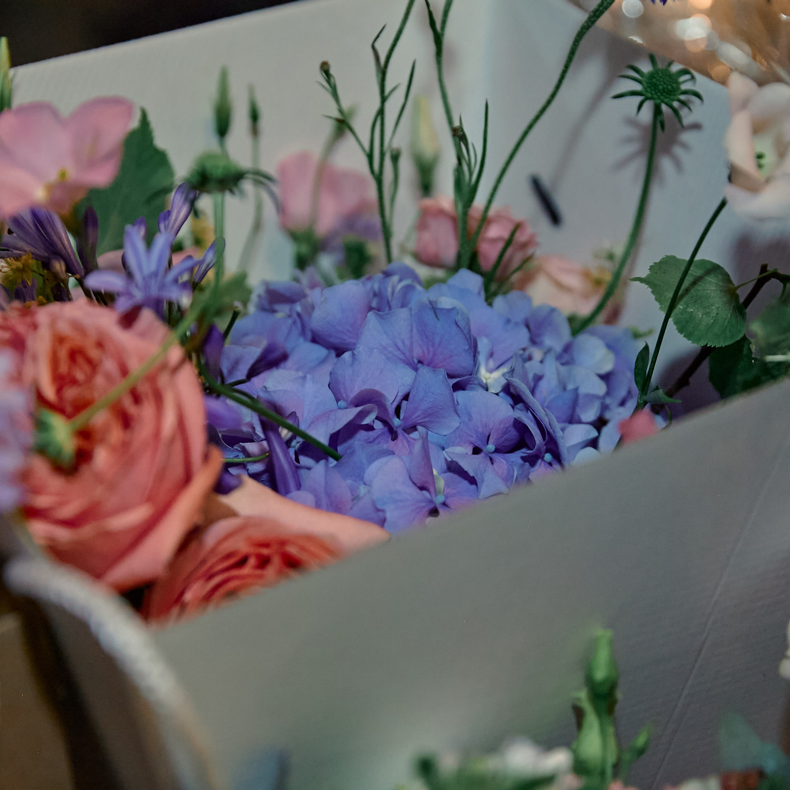 Оксана и Филипп. Рекламный фотограф Санкт-Петербург Катерина Мишкель