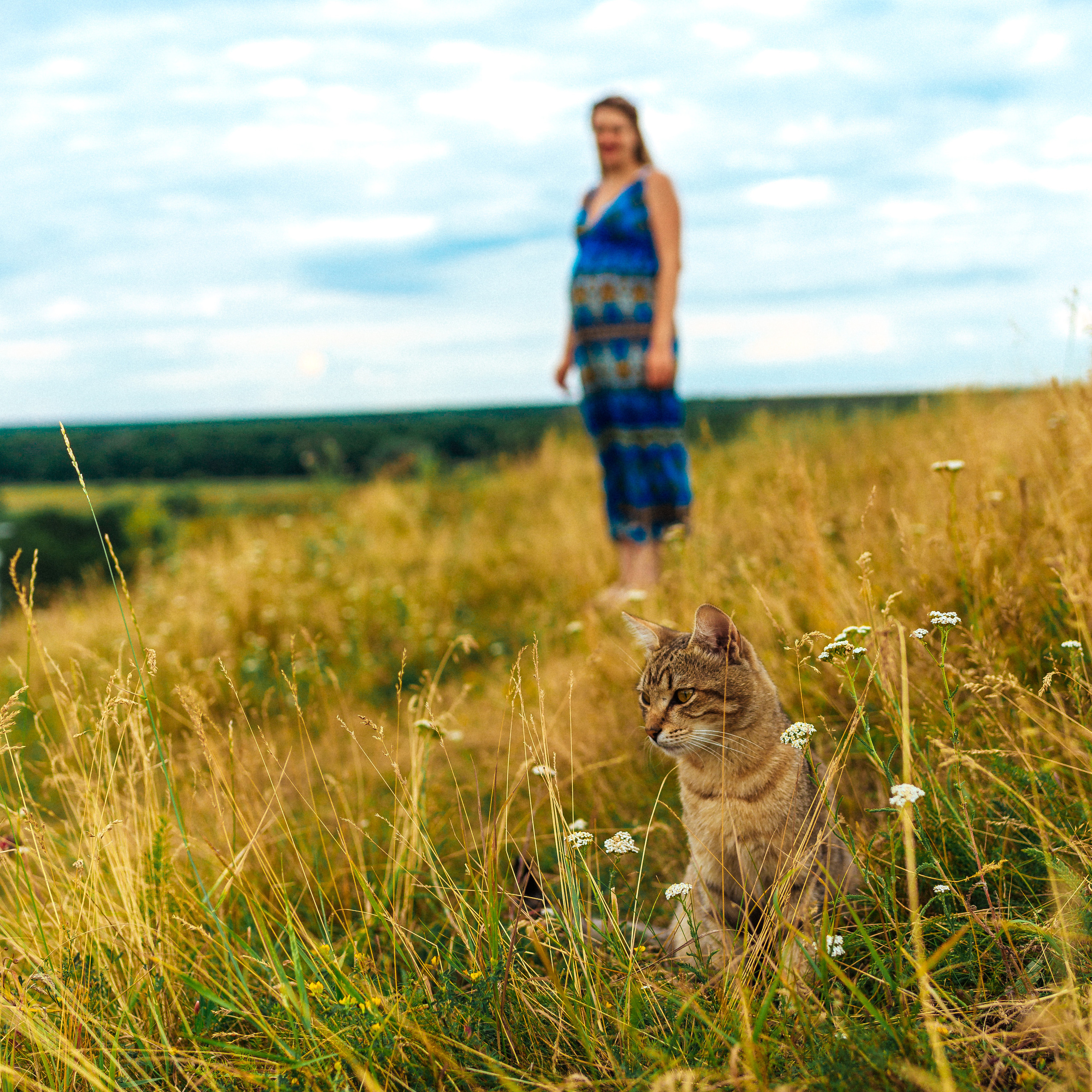 Артур и Елена. Свадебный фотограф в Воронеже — Свадебное фото