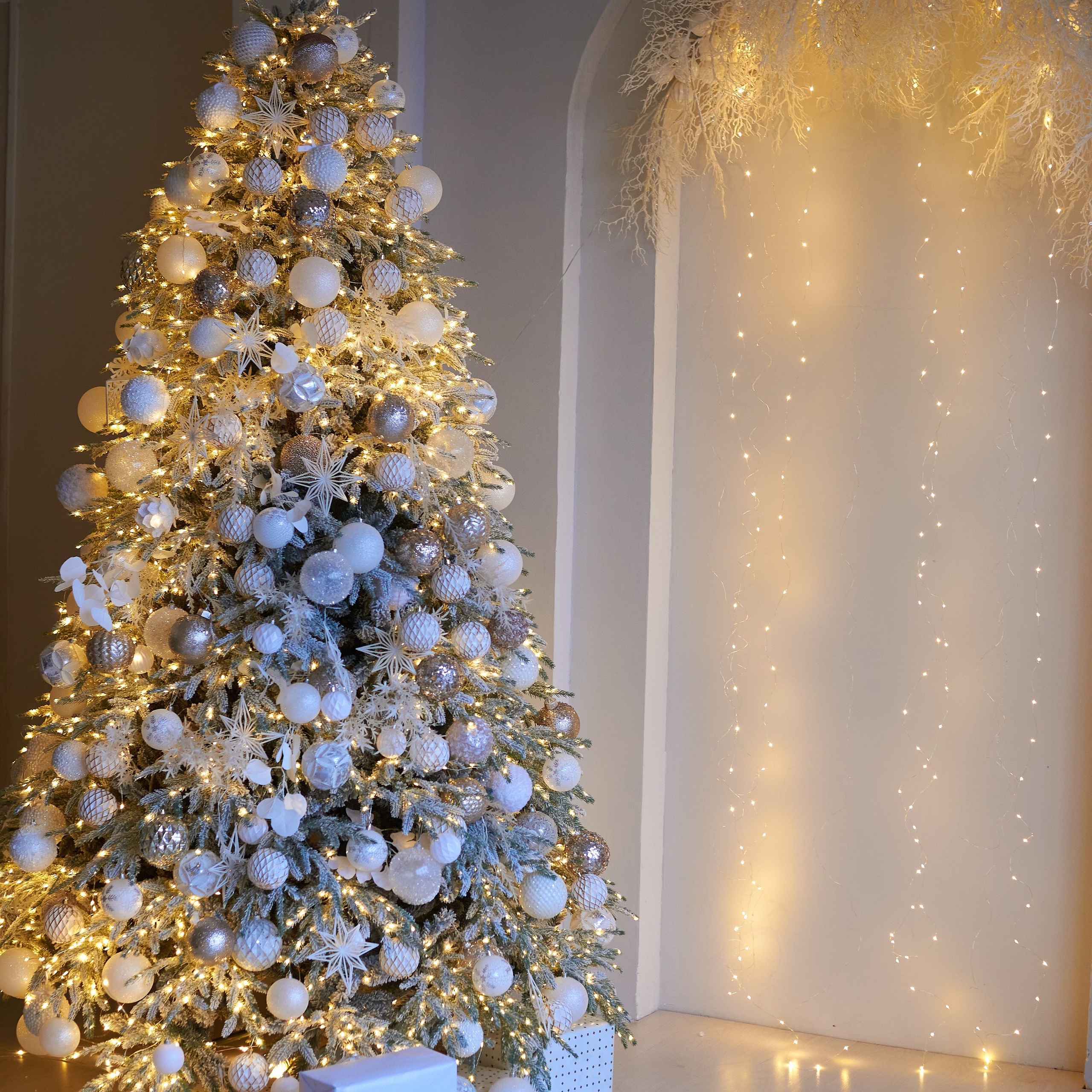 Отзывы. Семейный фотограф в Барнауле, Горный Алтай, Заринск, Алейск