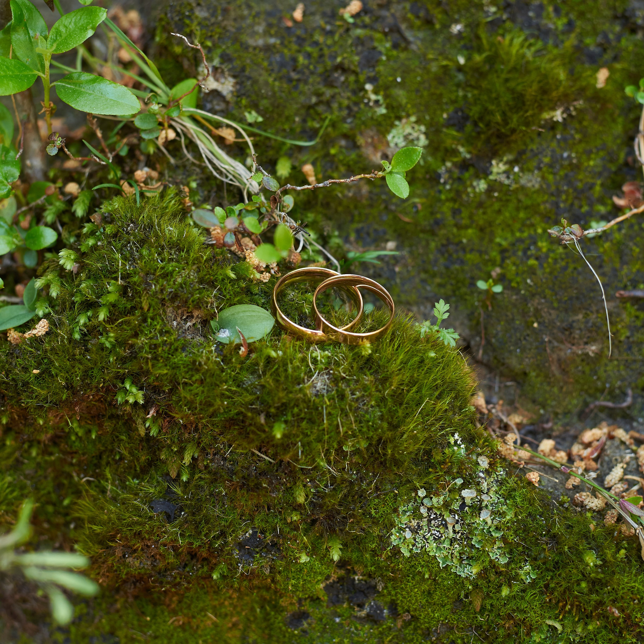 Артём и&nbsp;Лиза