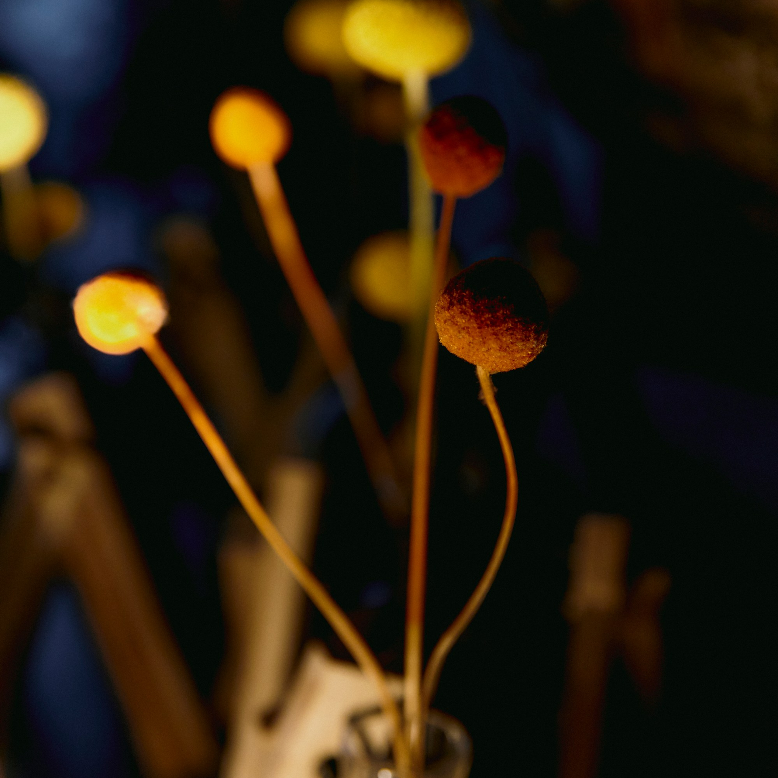 REPORTAGE. EVGENYA PERESADOVA