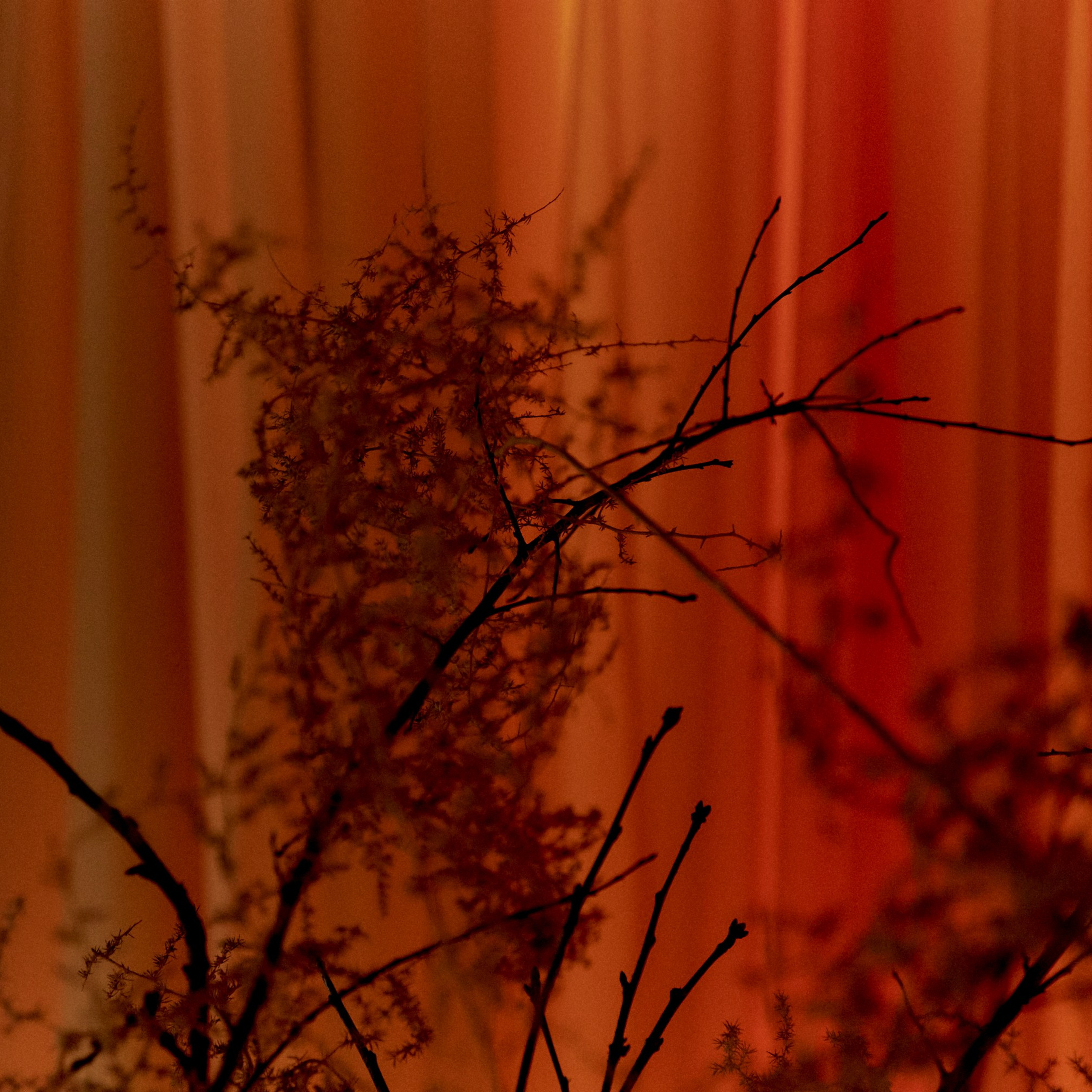 REPORTAGE. EVGENYA PERESADOVA