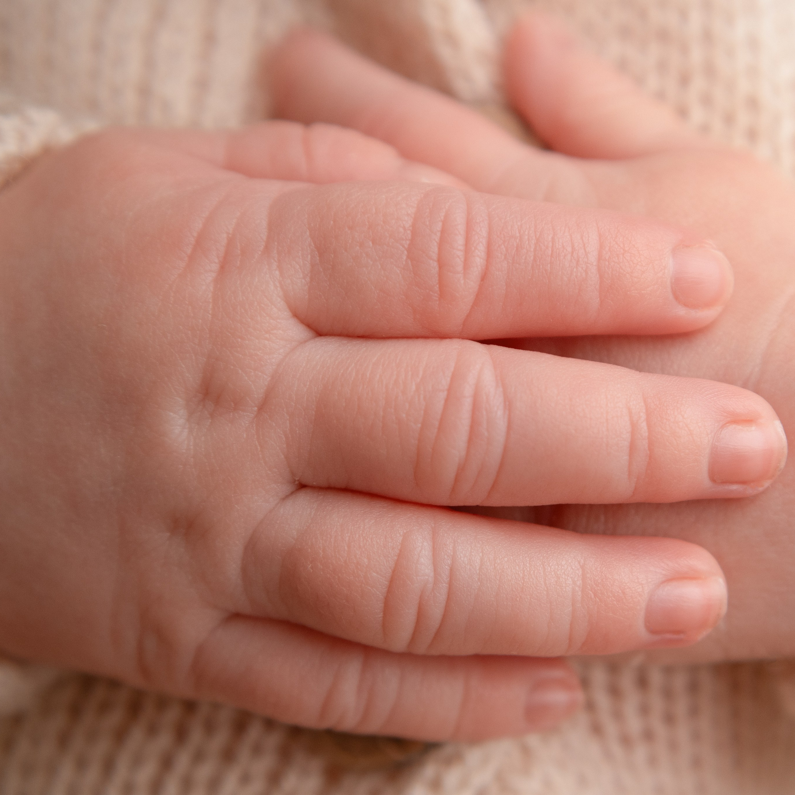 Отзывы. Фотограф беременности, фотограф новорожденных Анна Нельзина