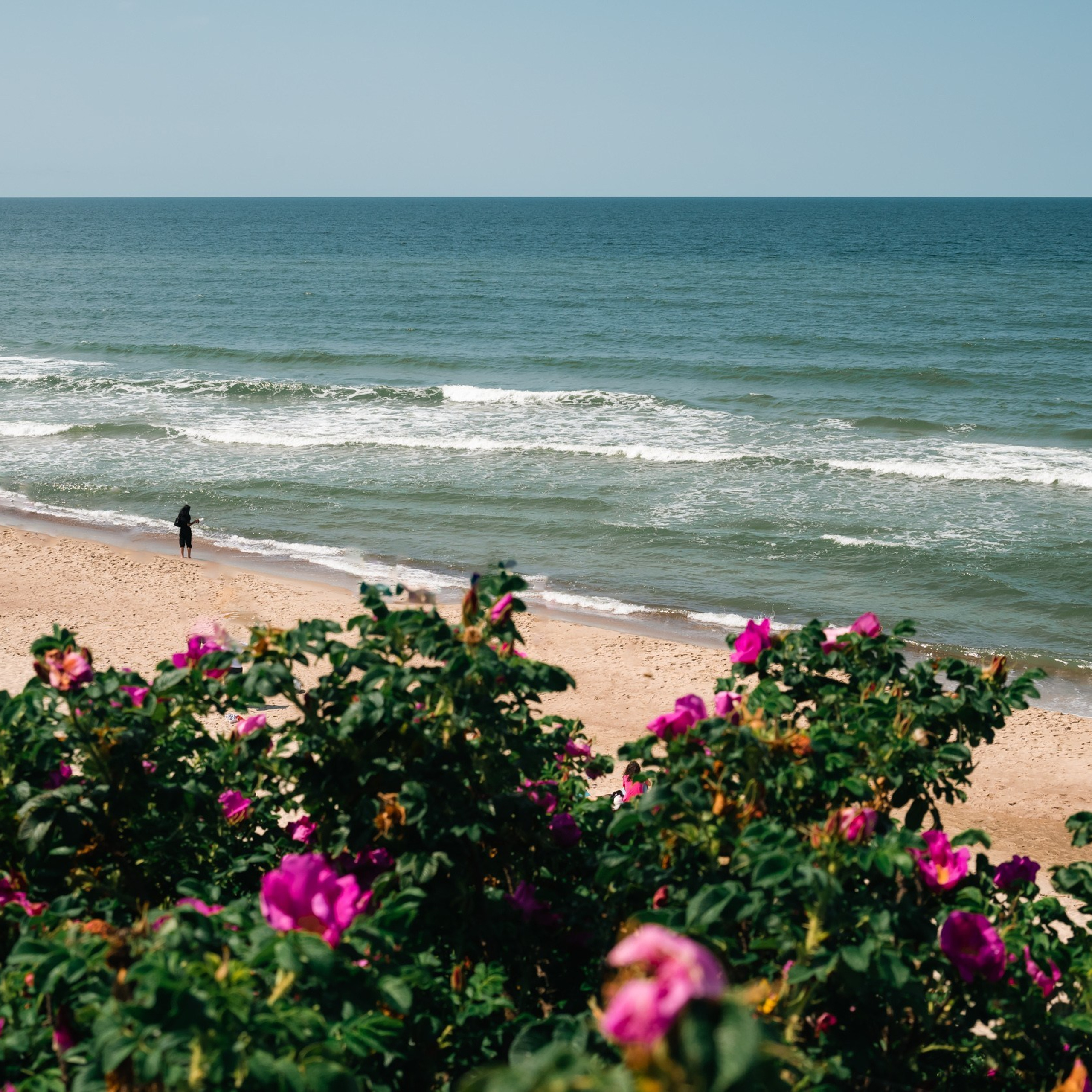 Куршская коса