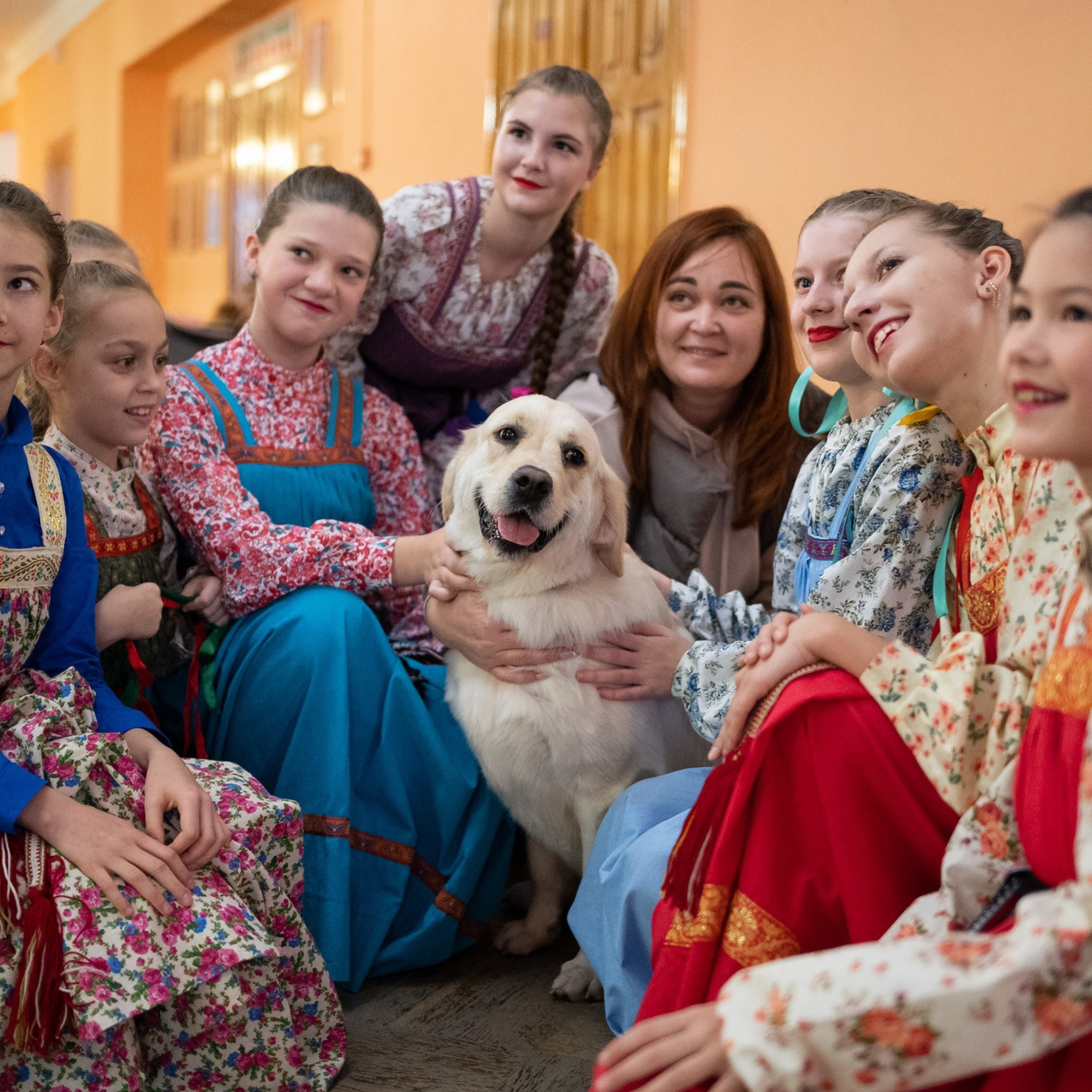 Выставка собак