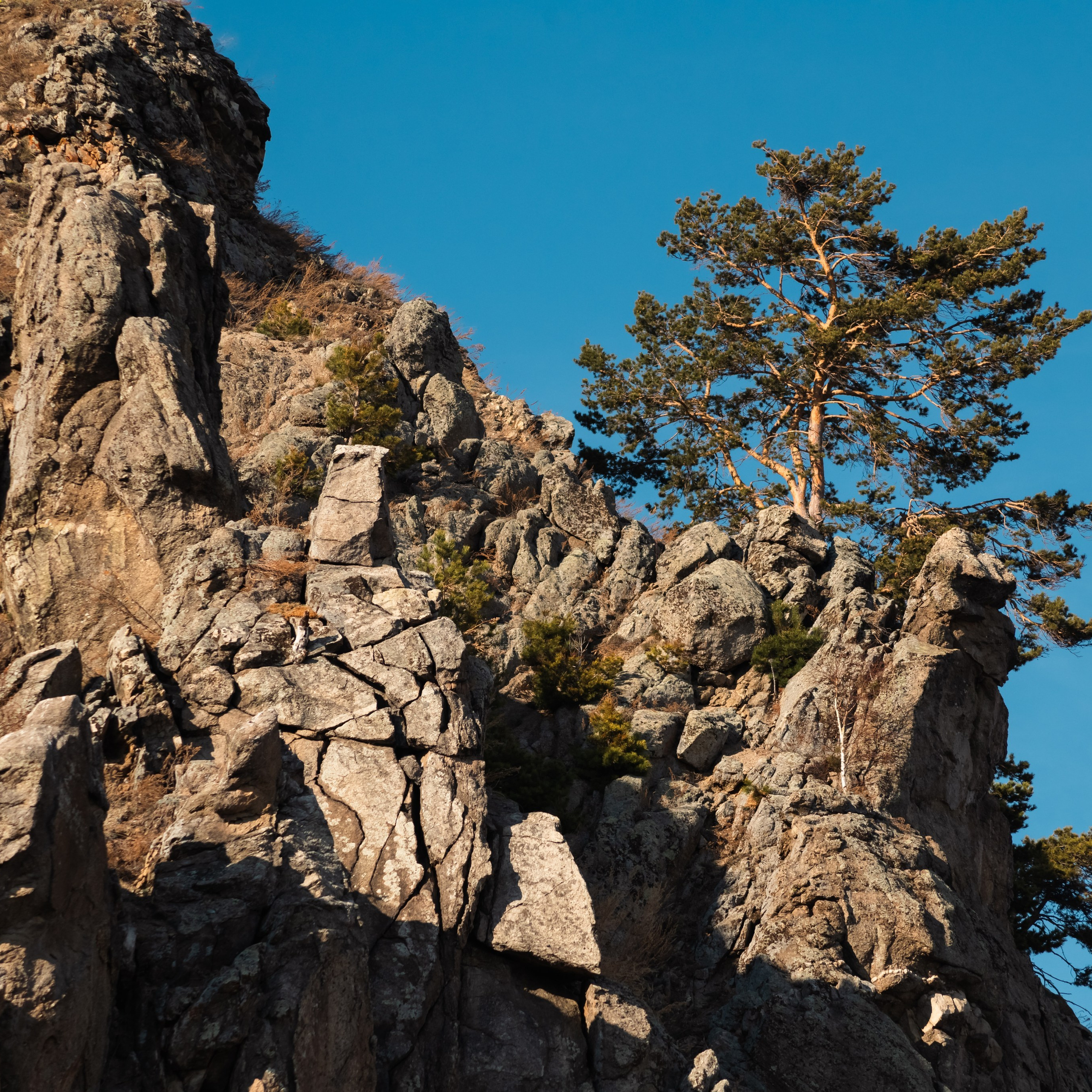 Баргузинский заповедник