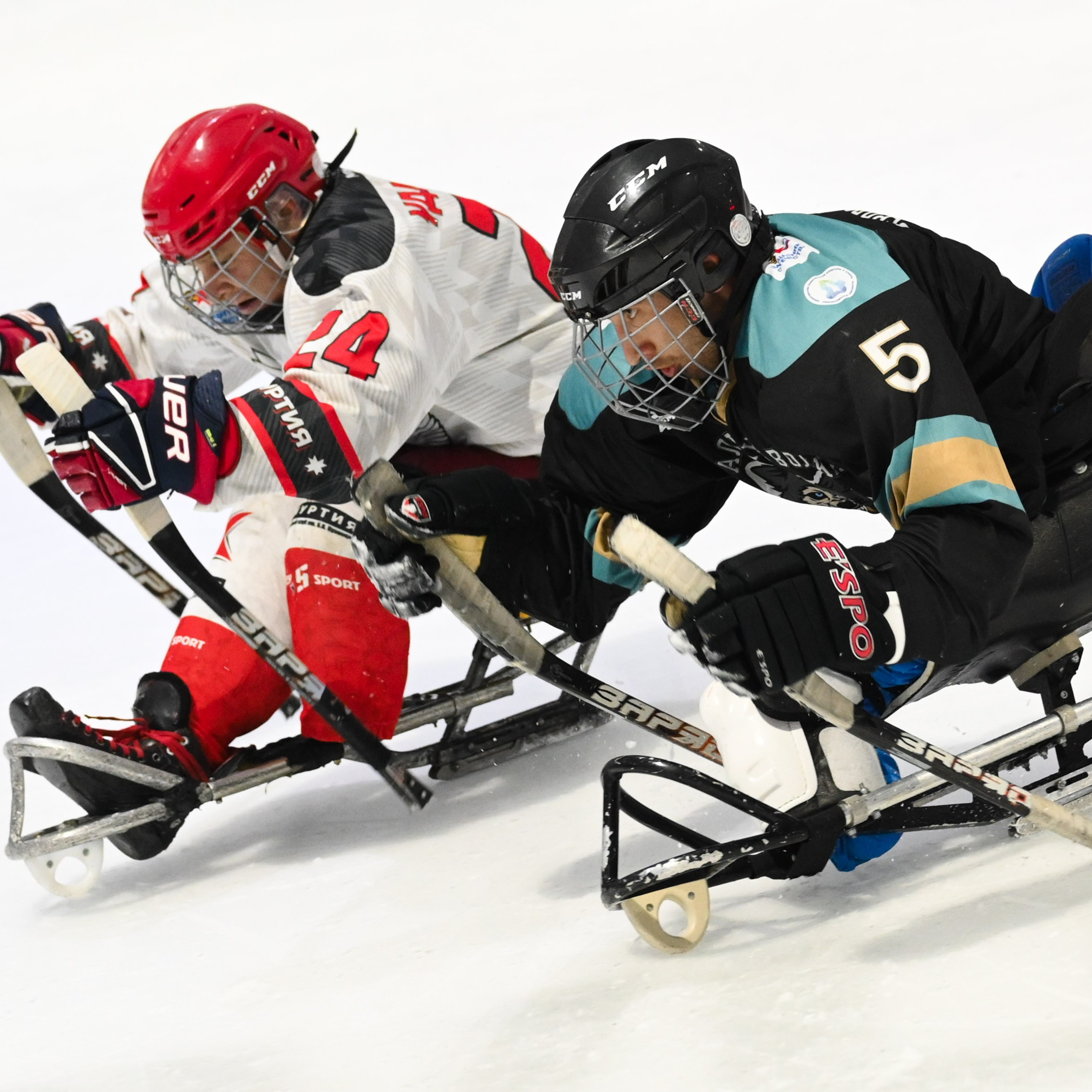 Следж-хоккей кубок героев