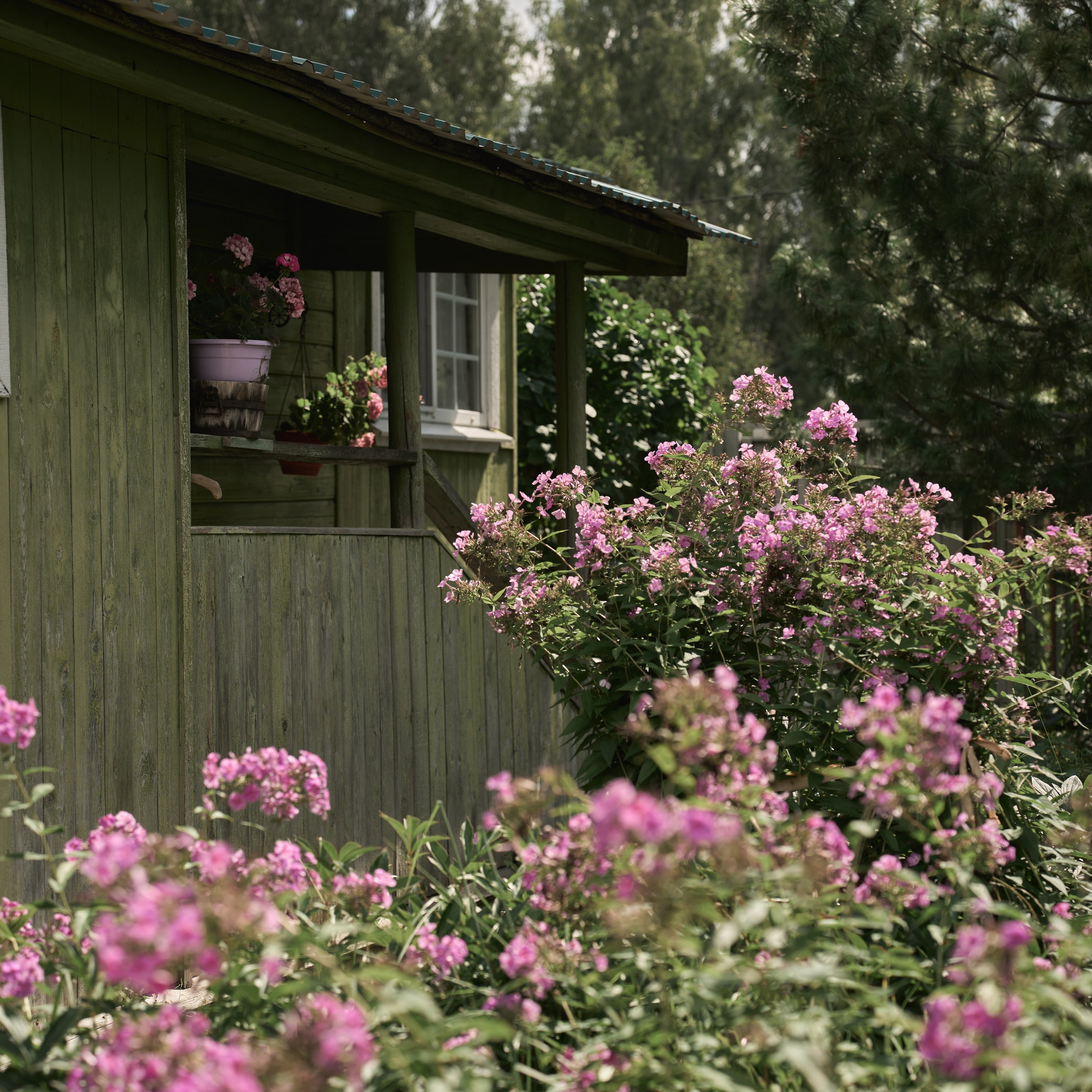 Пшеничное поле, битва Nerf и домик художницы