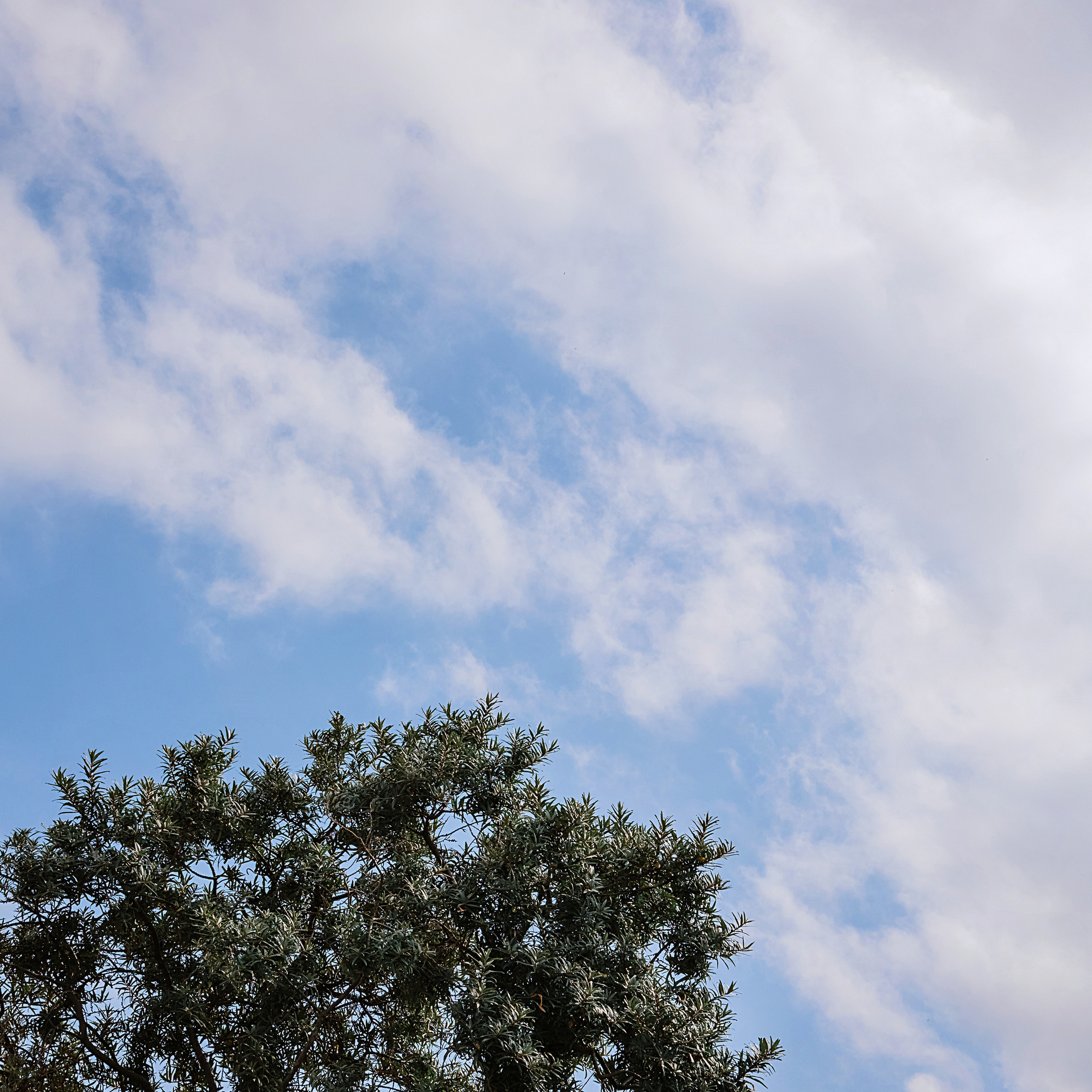 Отзывы. Фотограф Ирина Кирьянова