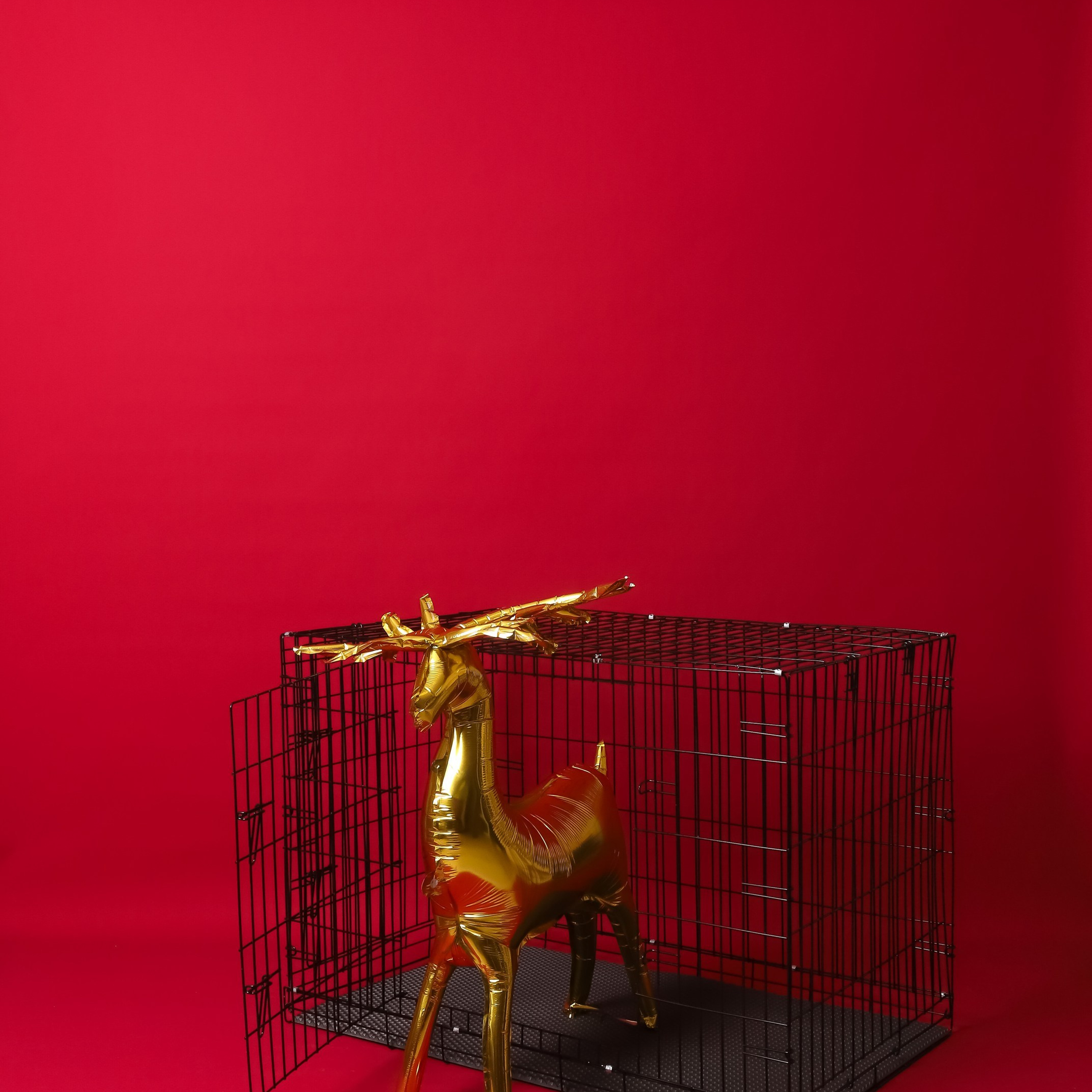 Отзывы. Фотостудия в Краснодаре без фотографа