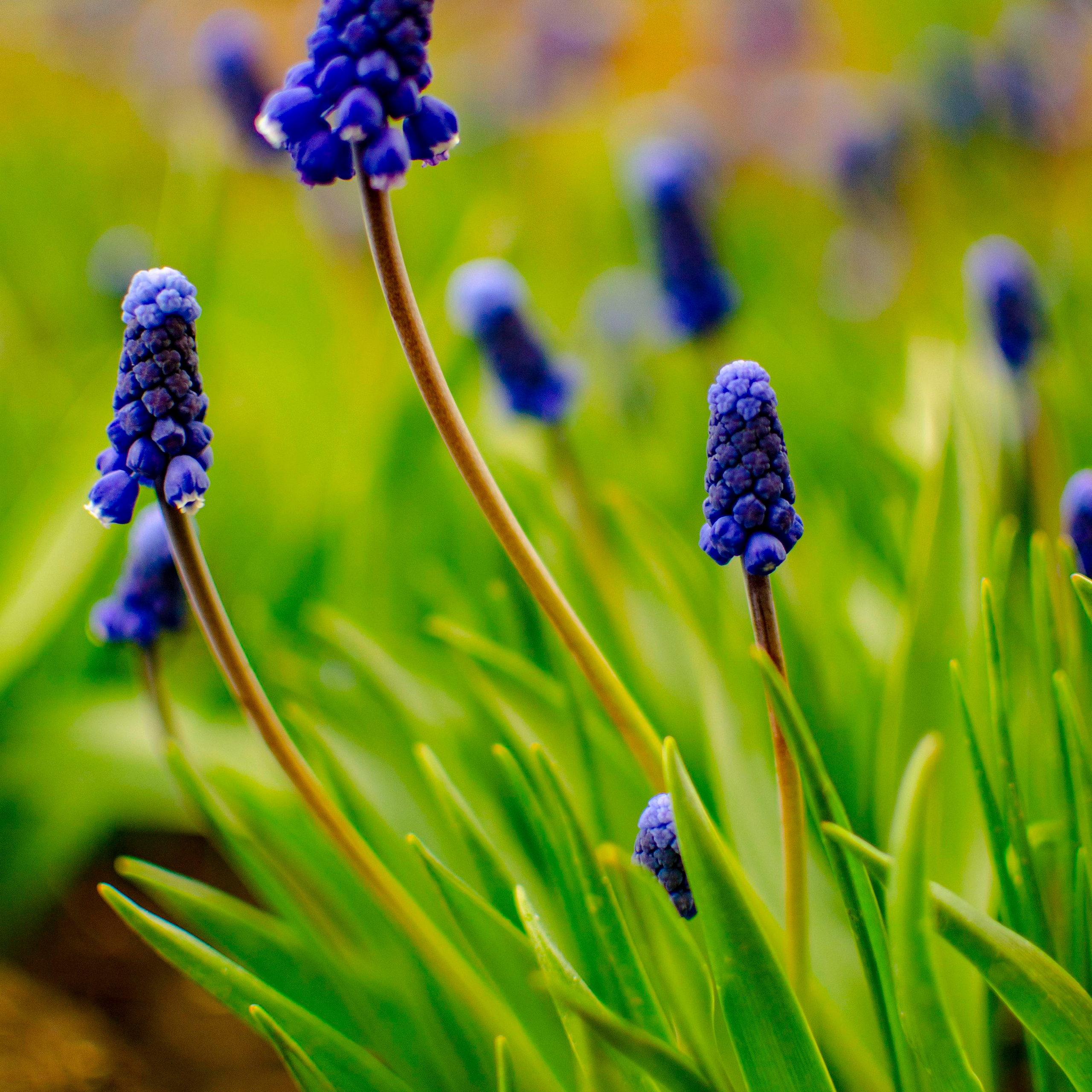 Репортажный фотограф в Новосибирске
