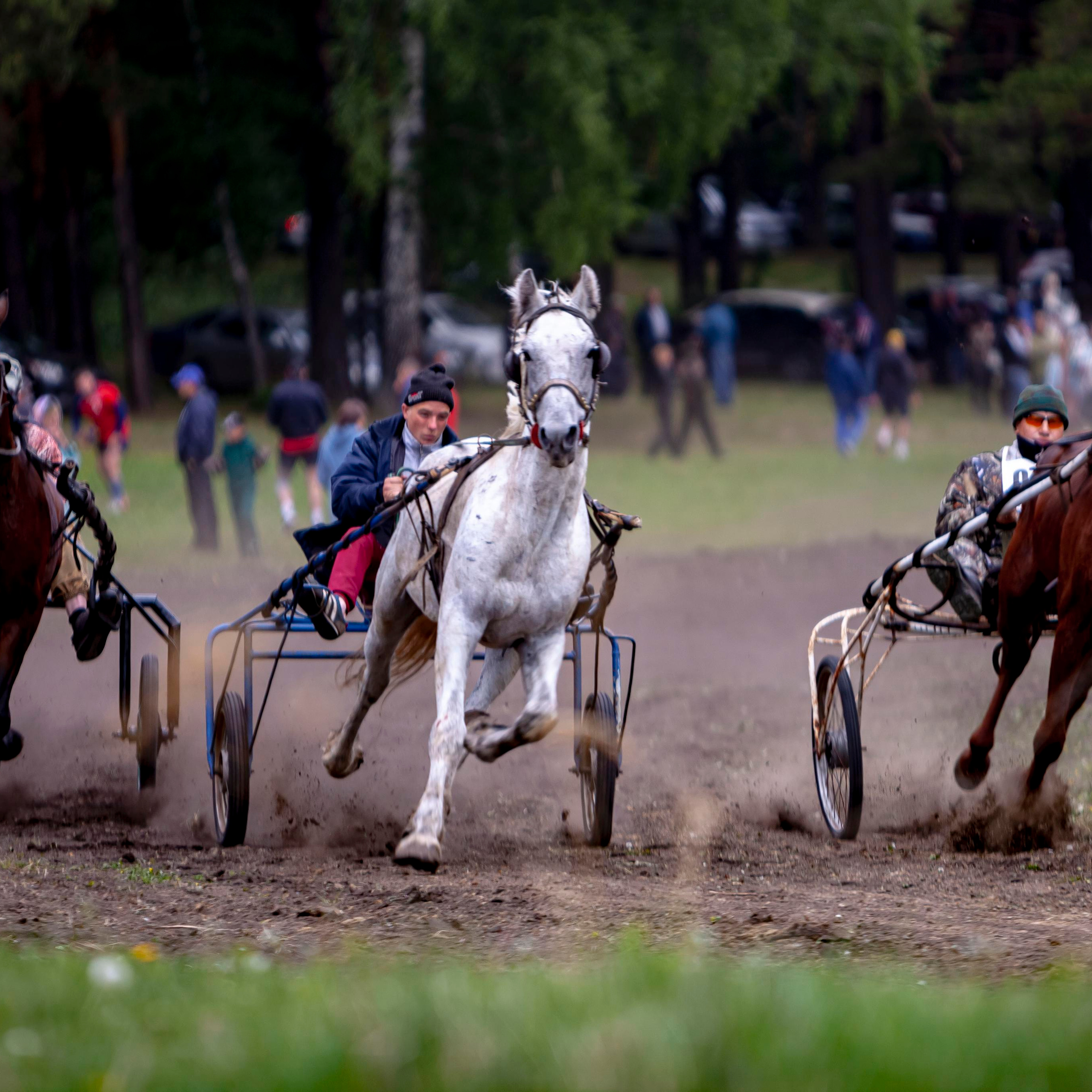 Репортажный фотограф в Новосибирске