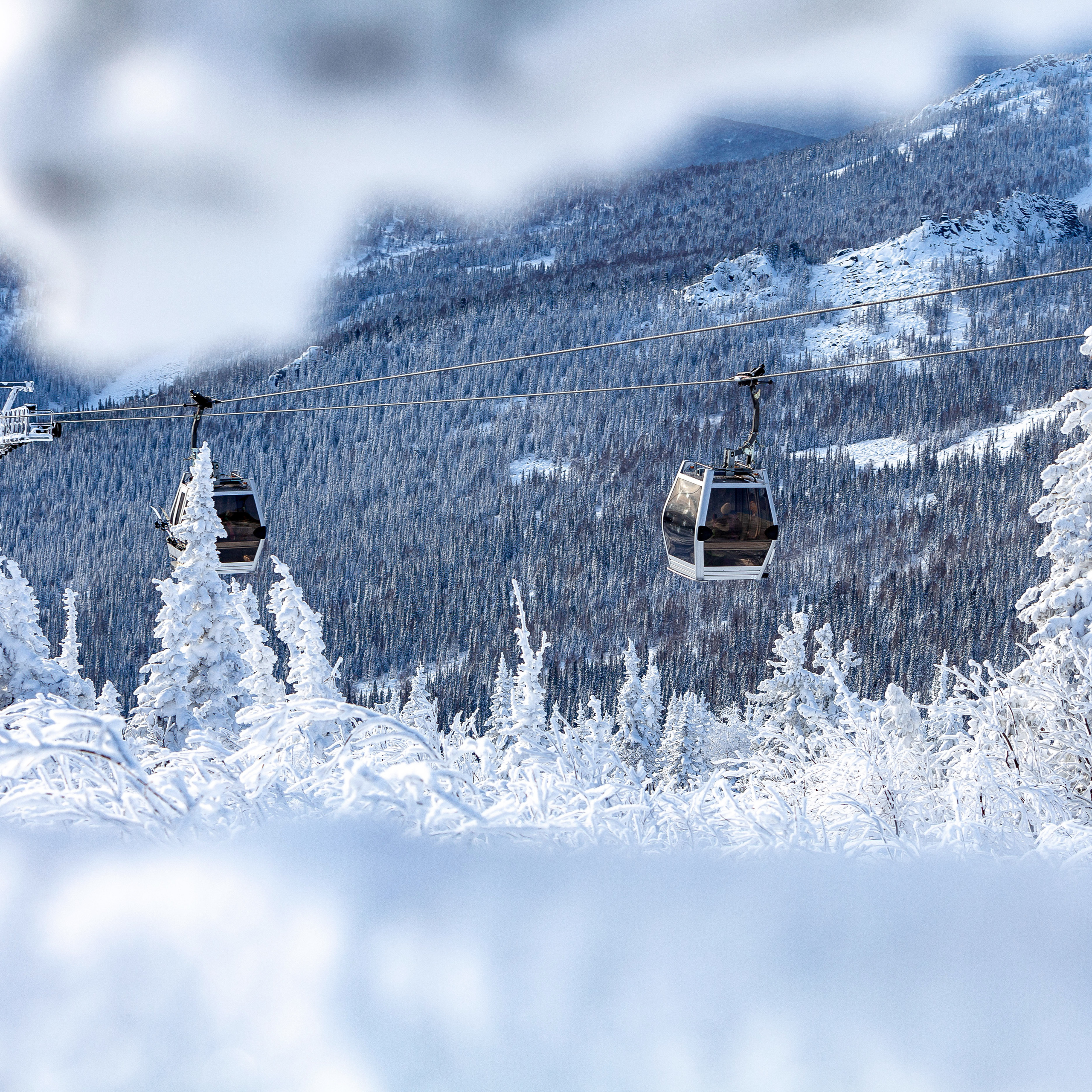 Репортажный фотограф в Новосибирске