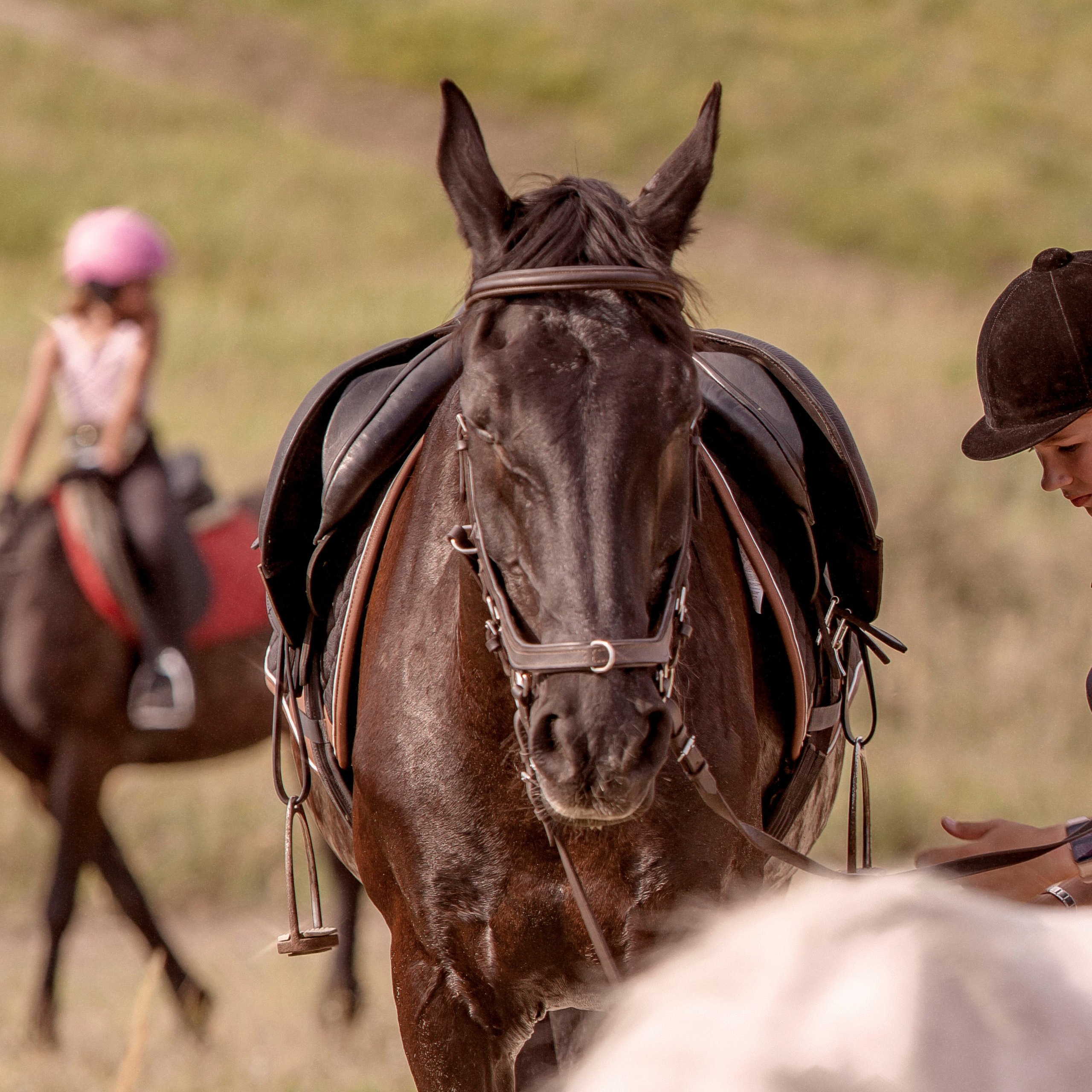 Репортажный фотограф в Новосибирске