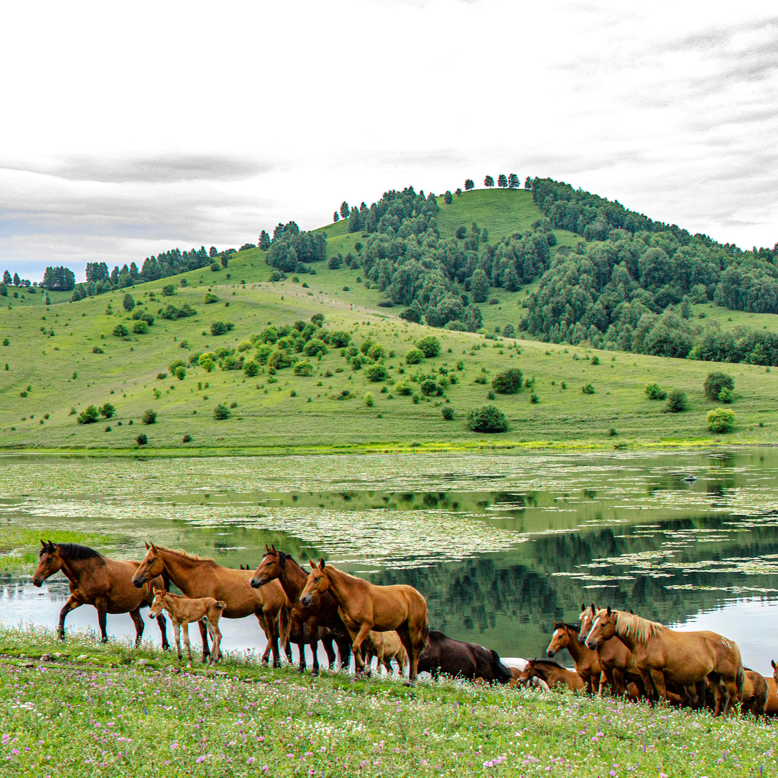 Репортажный фотограф в Новосибирске