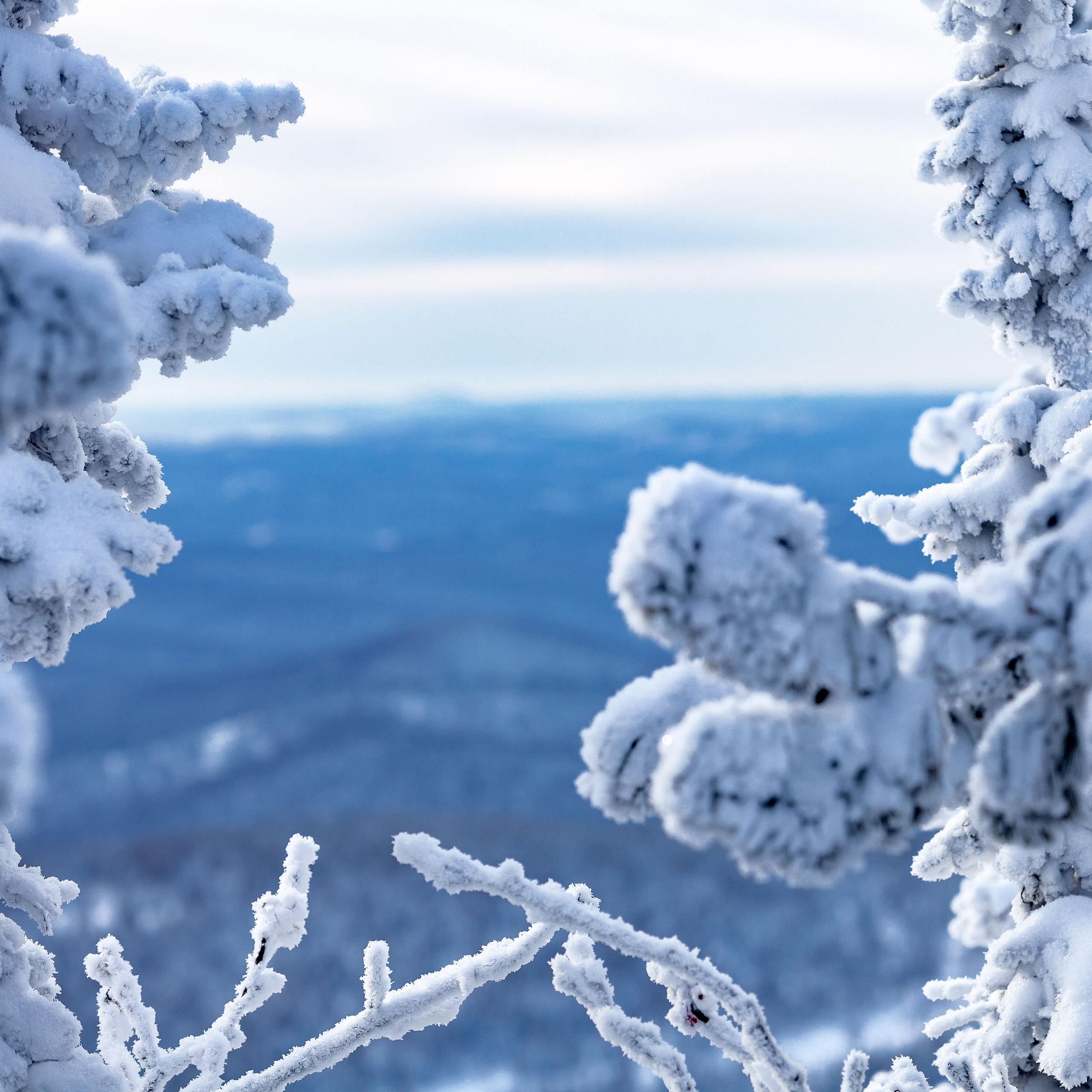 Репортажный фотограф в Новосибирске