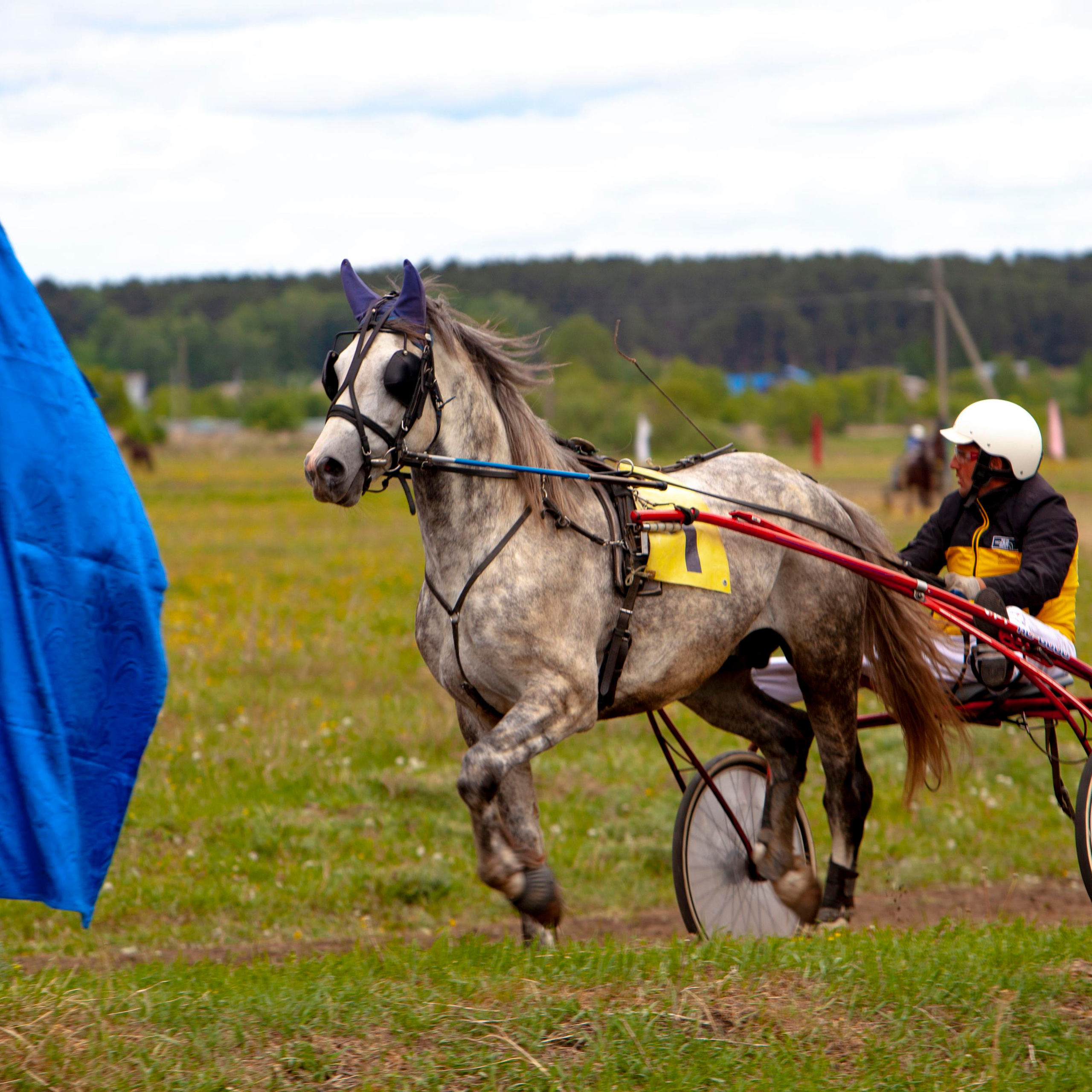 Репортажный фотограф в Новосибирске