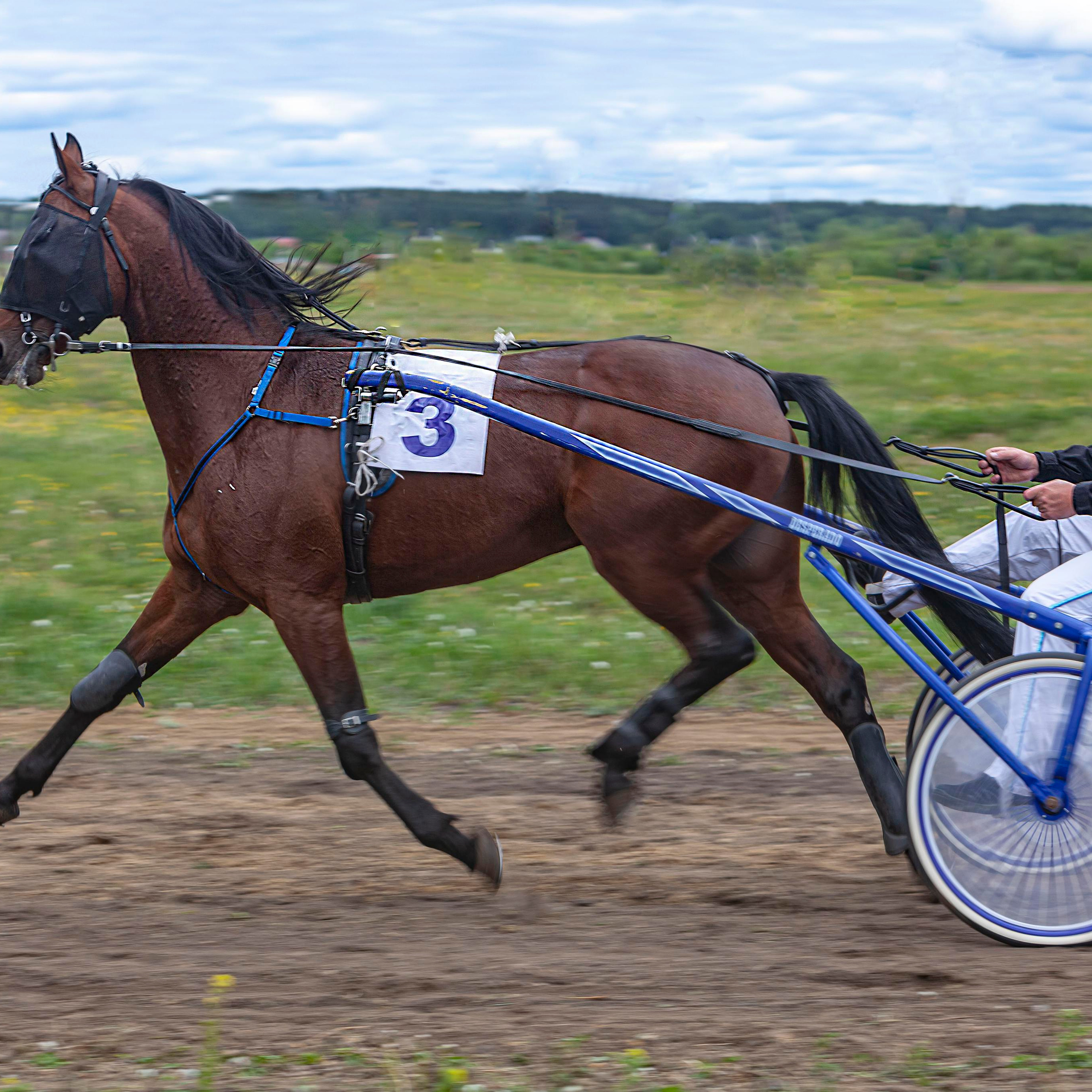 Репортажный фотограф в Новосибирске
