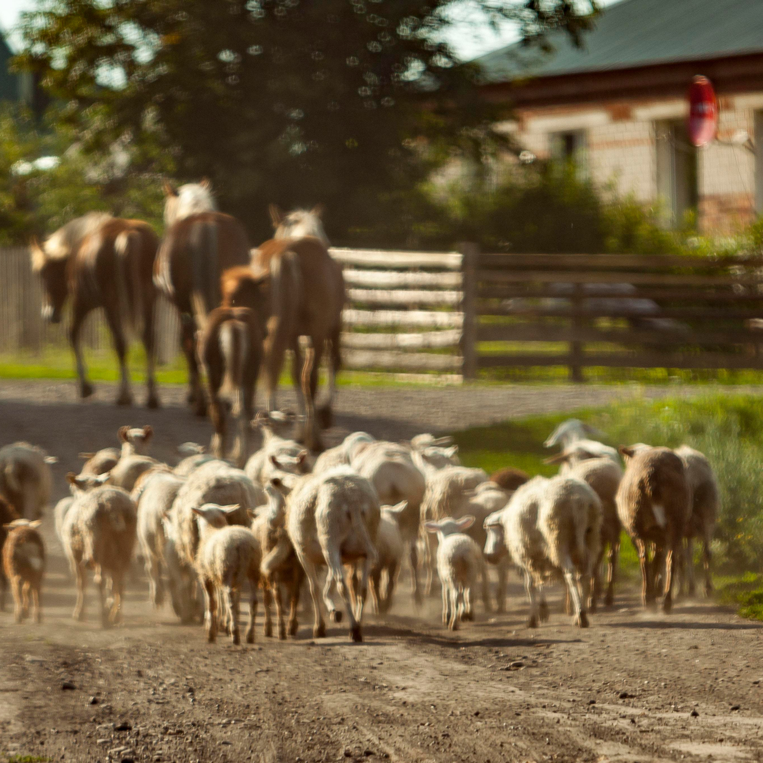 Репортажный фотограф в Новосибирске