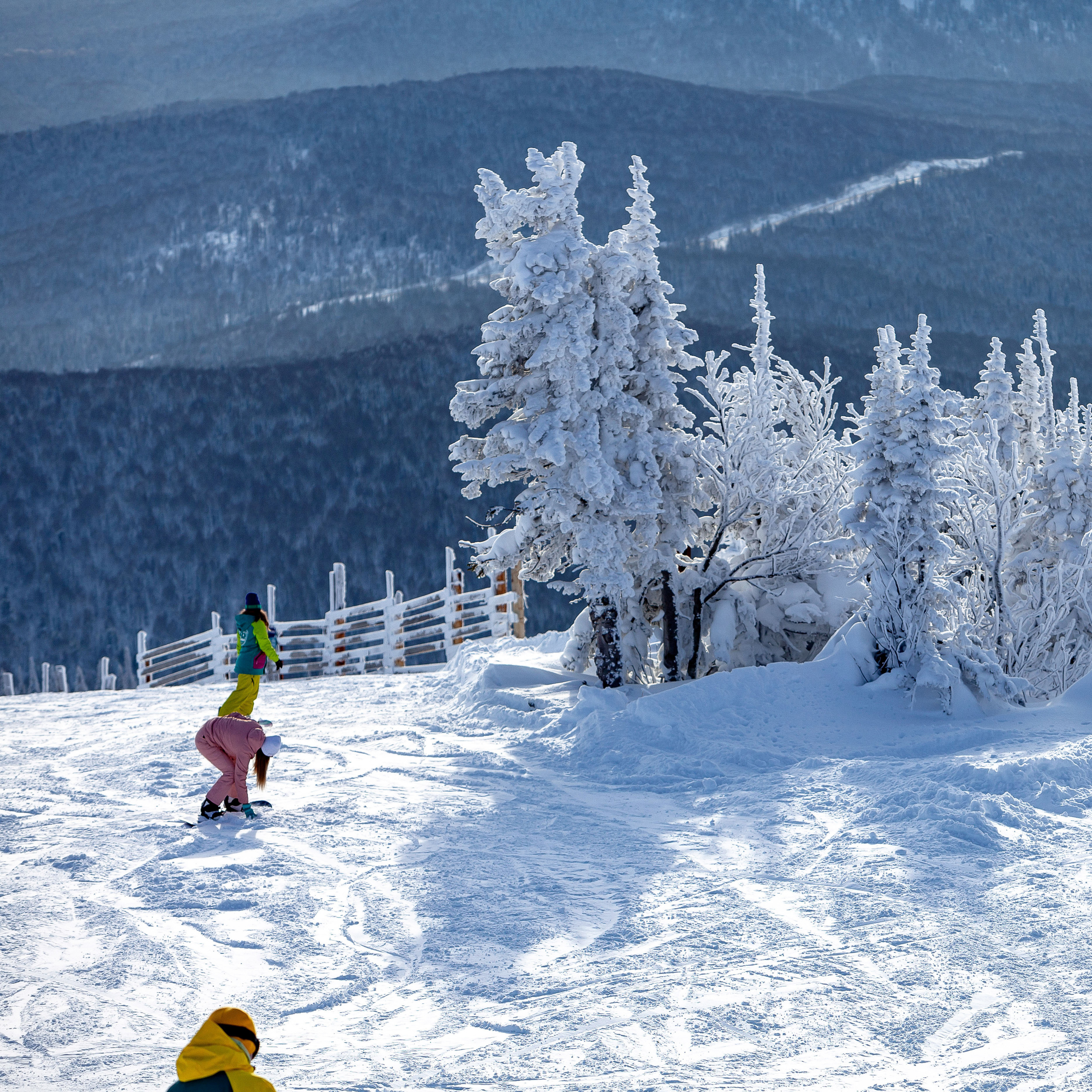 Репортажный фотограф в Новосибирске