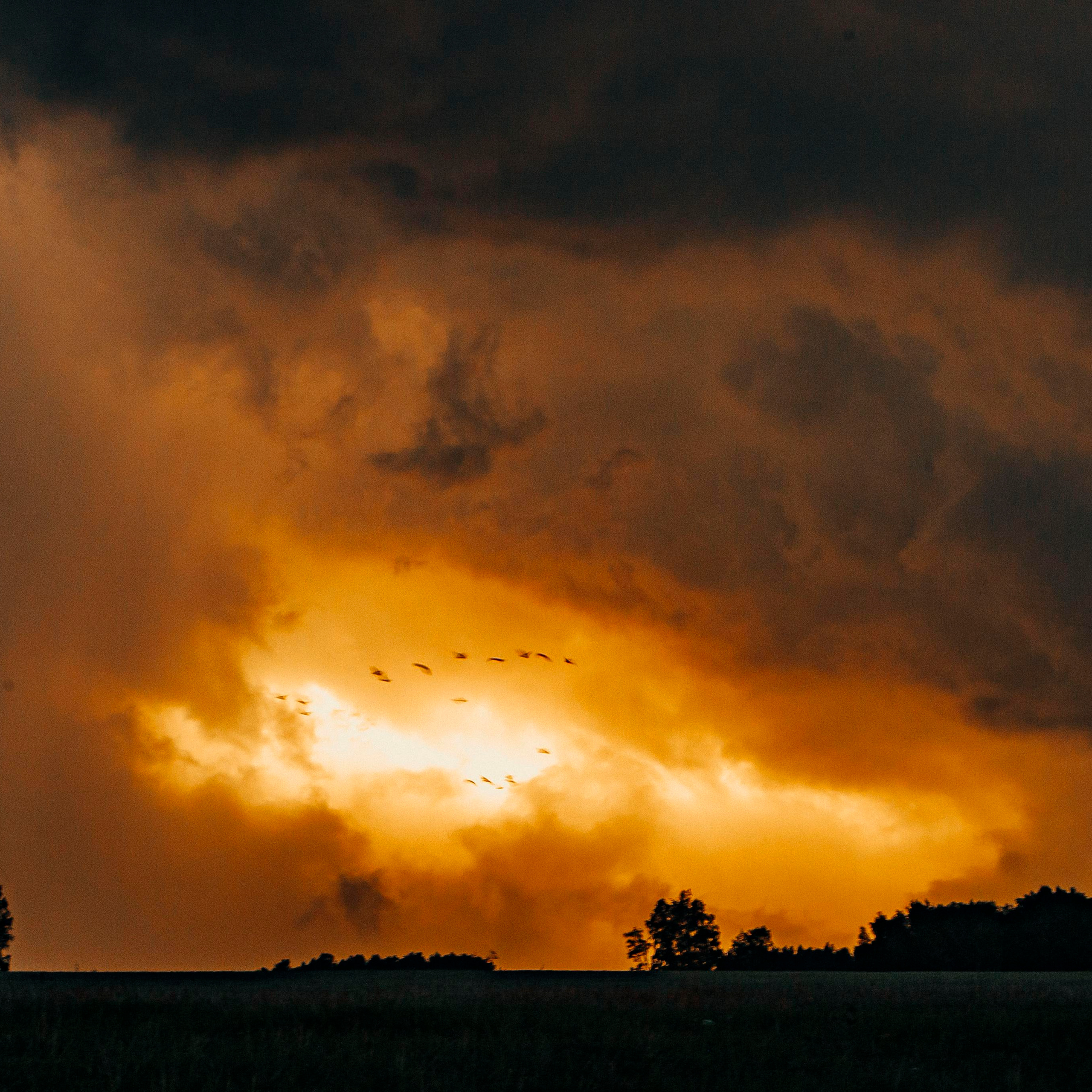 Репортажный фотограф в Новосибирске