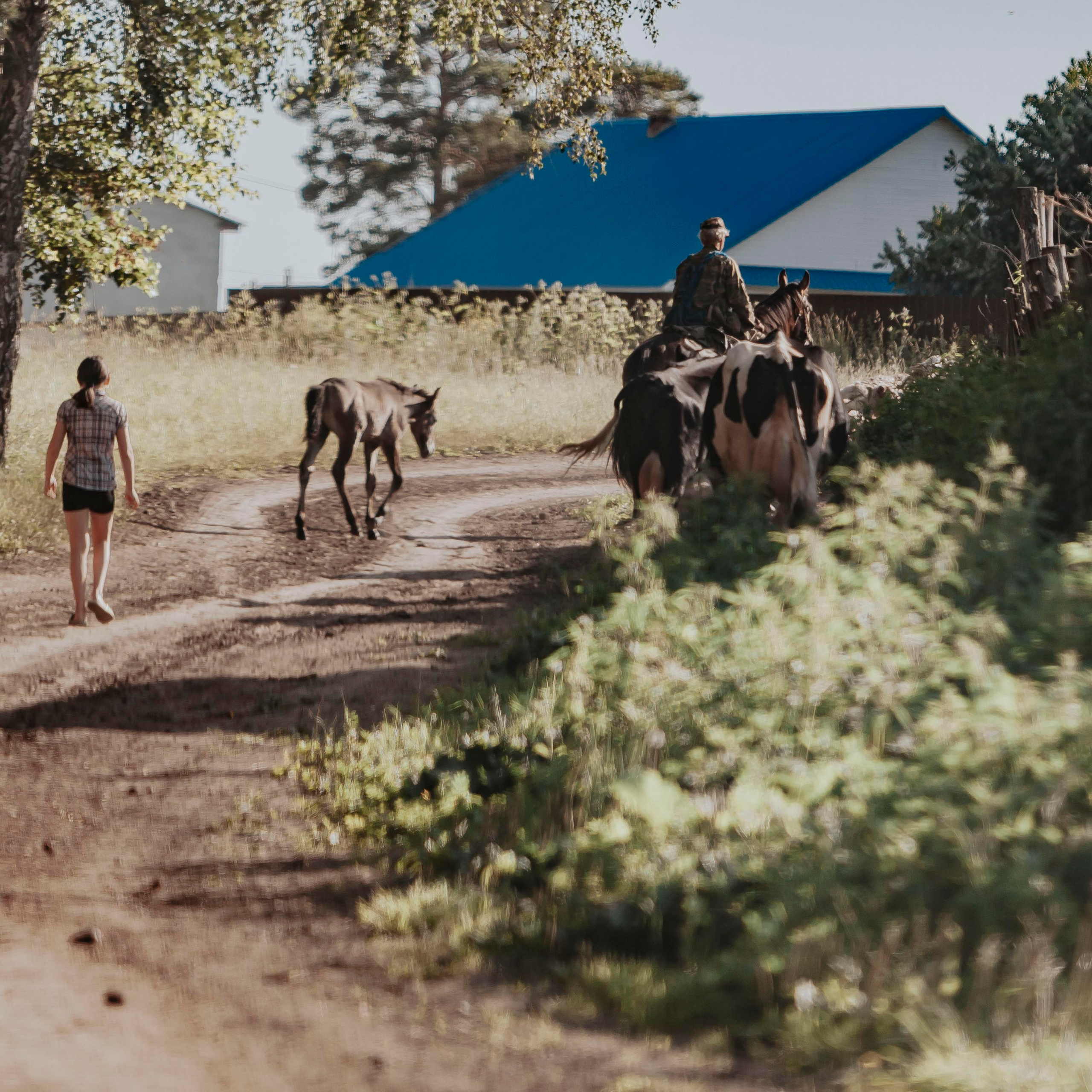 Репортажный фотограф в Новосибирске